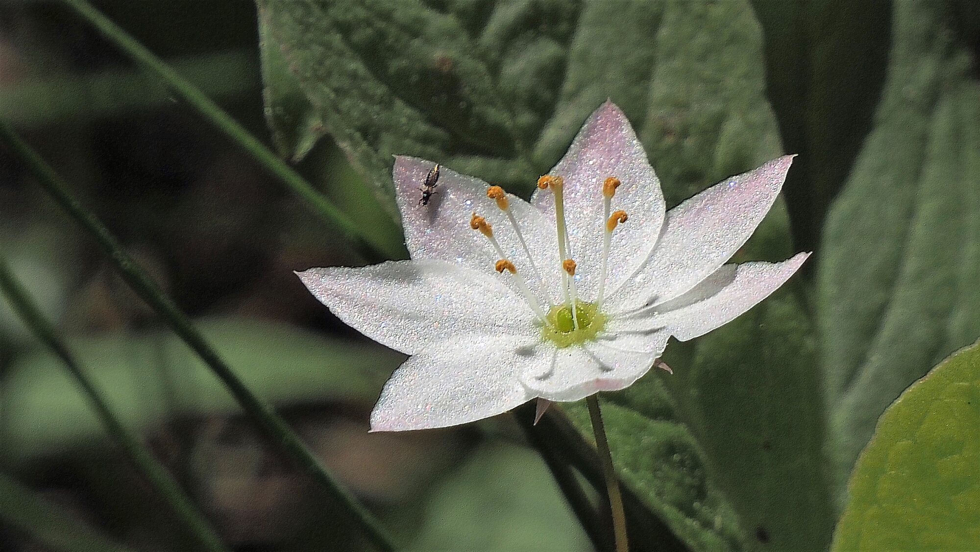 Valokuvaaja: Arja Valtonen