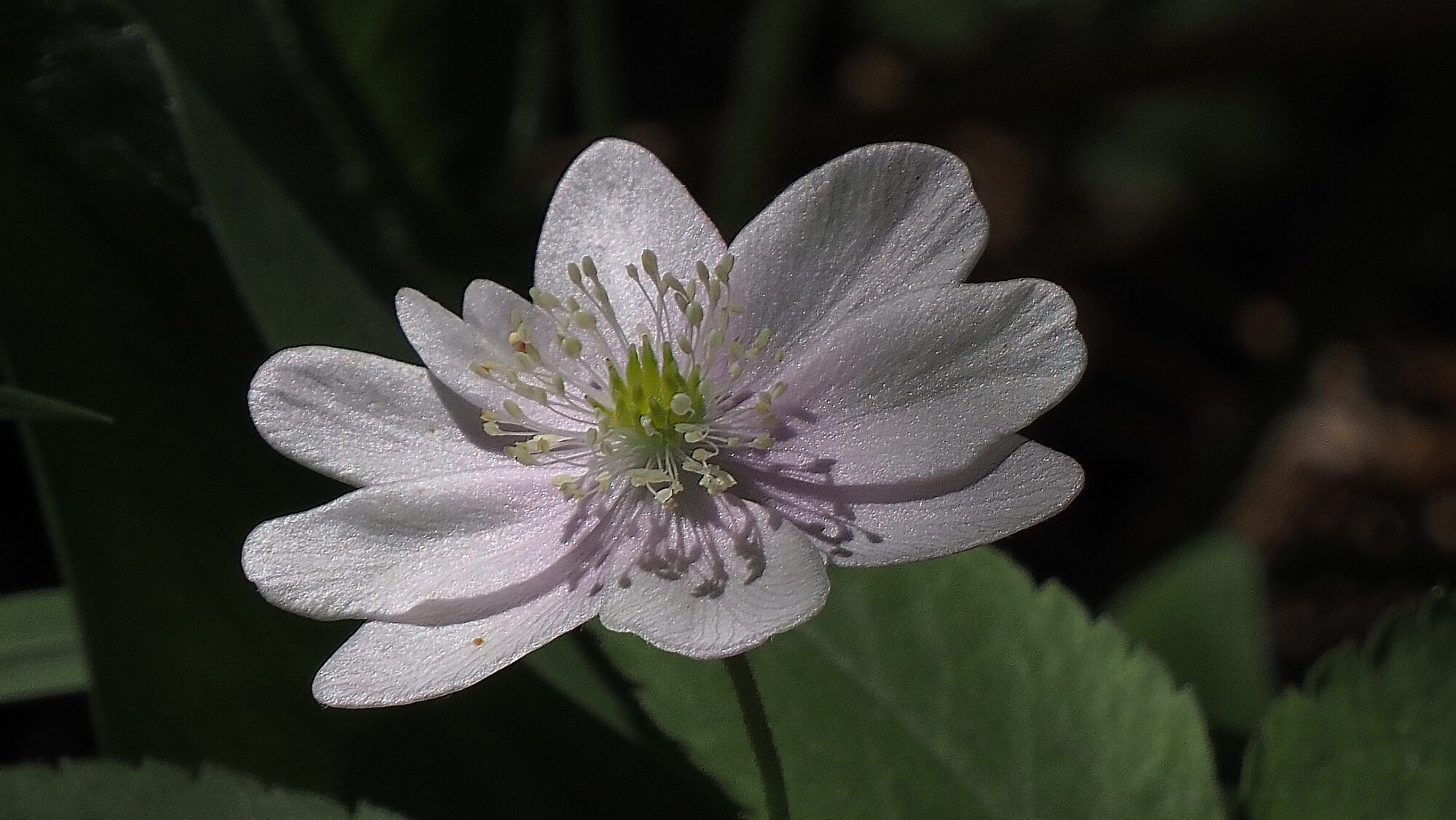 Valokuvaaja: Arja Valtonen Valokuvaaja: Arja Valtonen