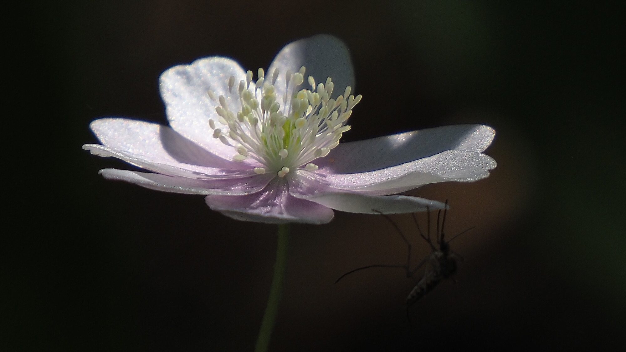 Valokuvaaja: Arja Valtonen