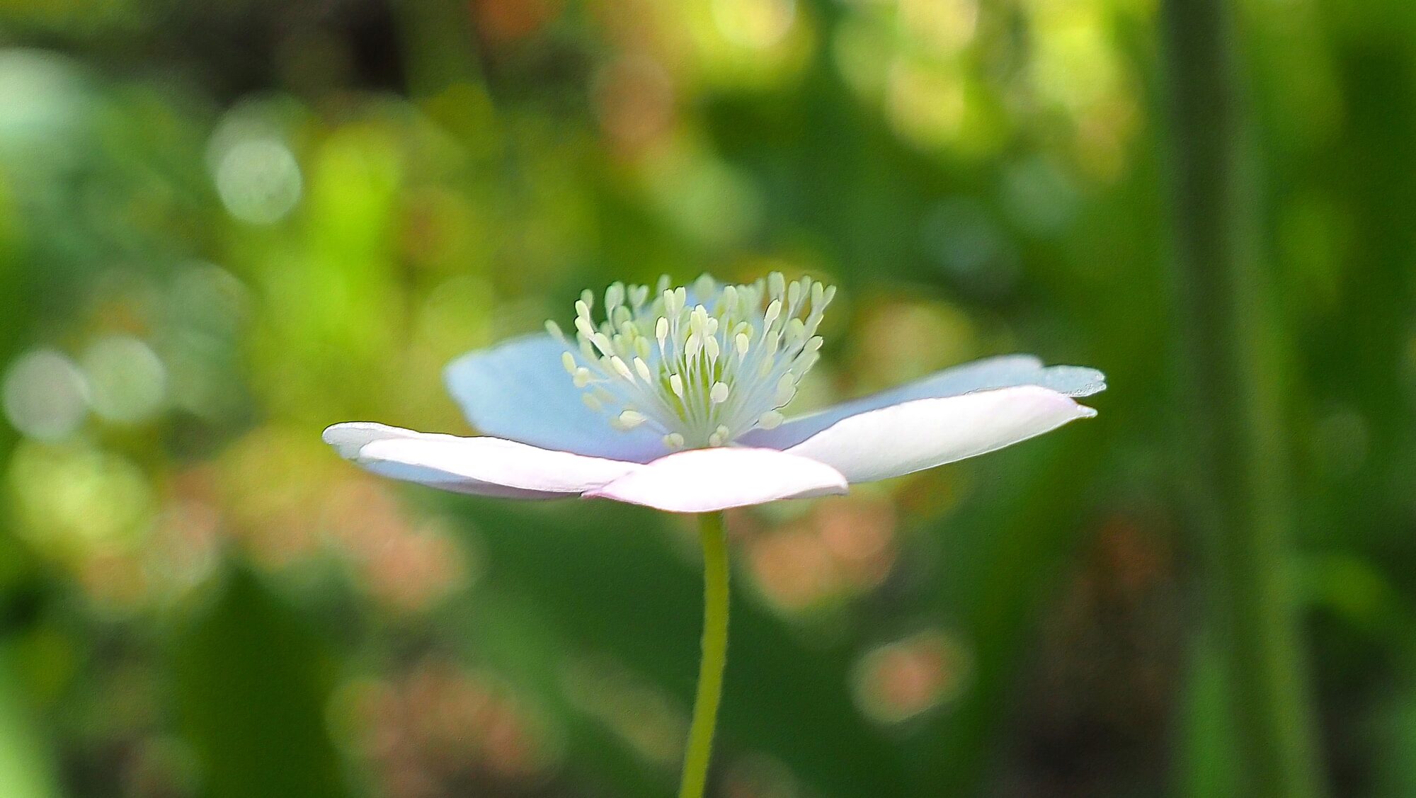 Valokuvaaja: Arja Valtonen