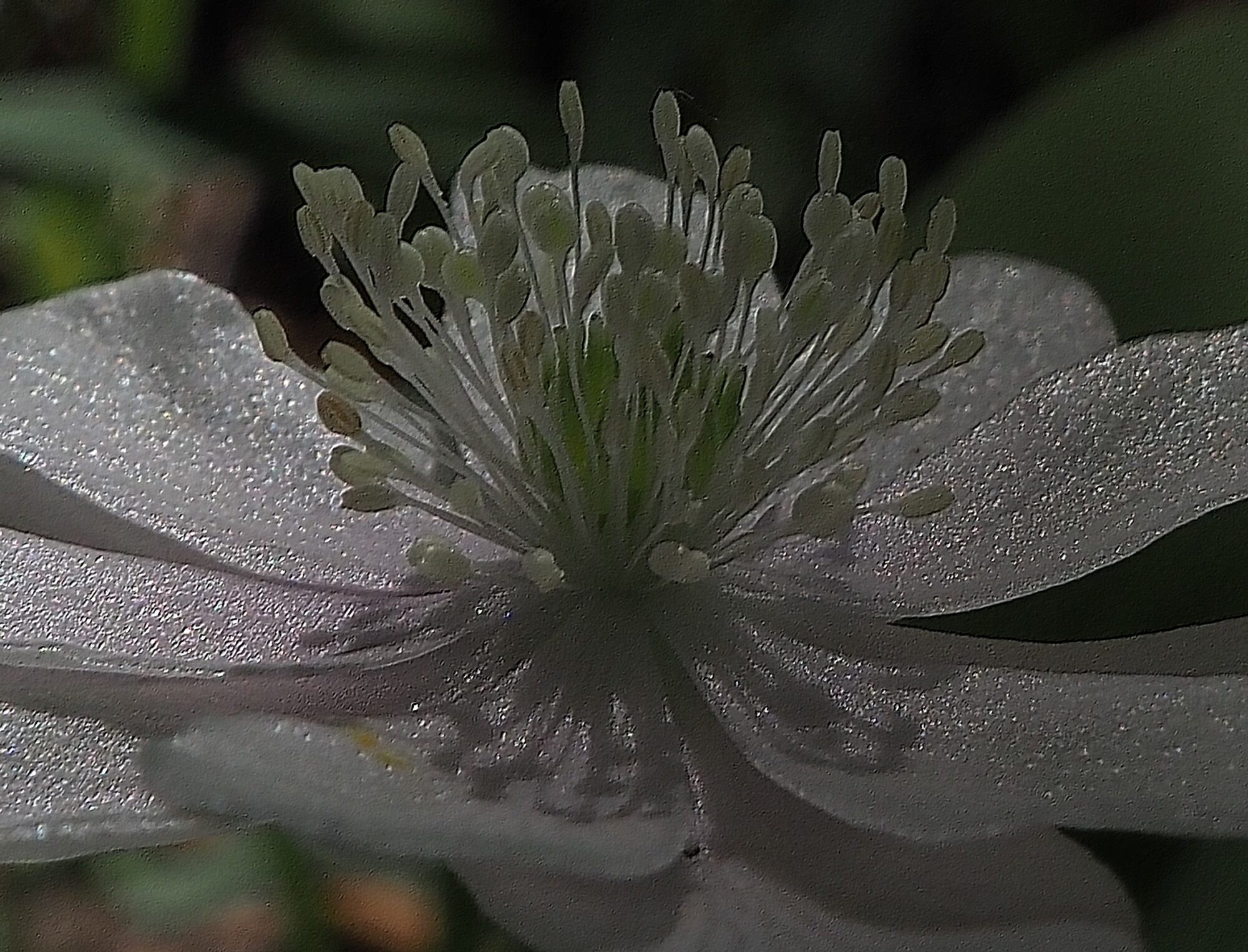 Valokuvaaja: Arja Valtonen Valokuvaaja: Arja Valtonen