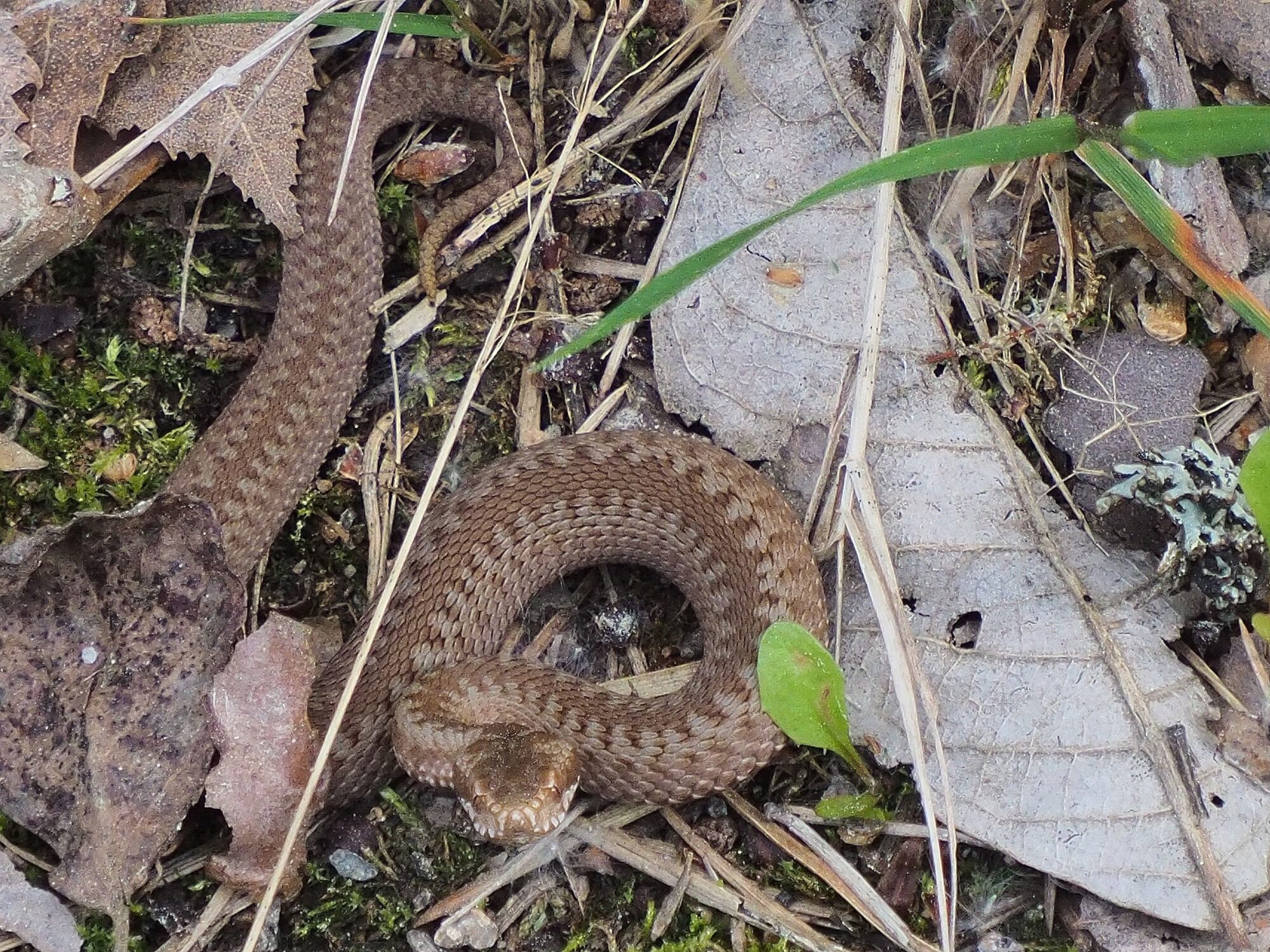Valokuvaaja: Martti Valtonen