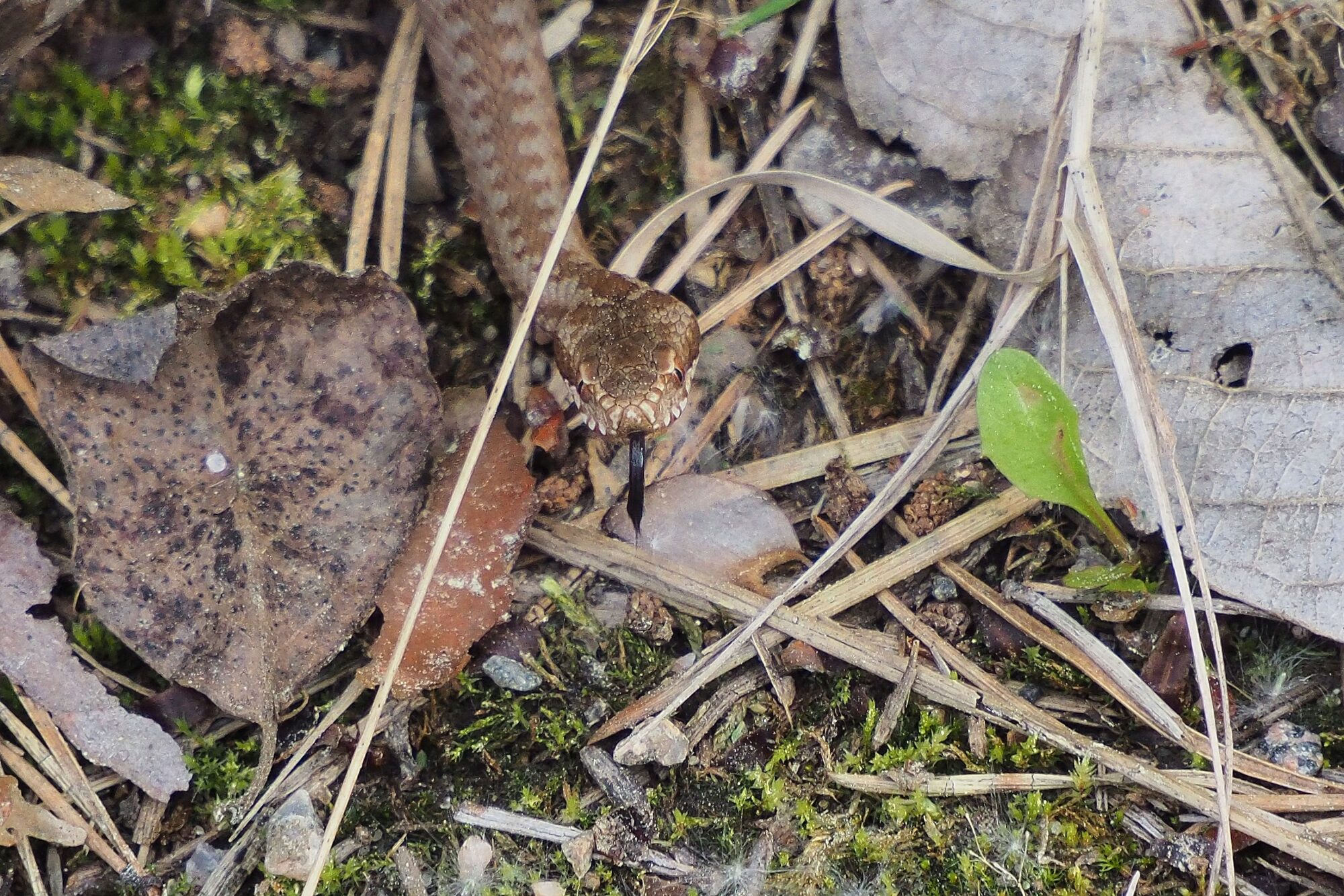 Valokuvaaja: Martti Valtonen Valokuvaaja: Martti Valtonen