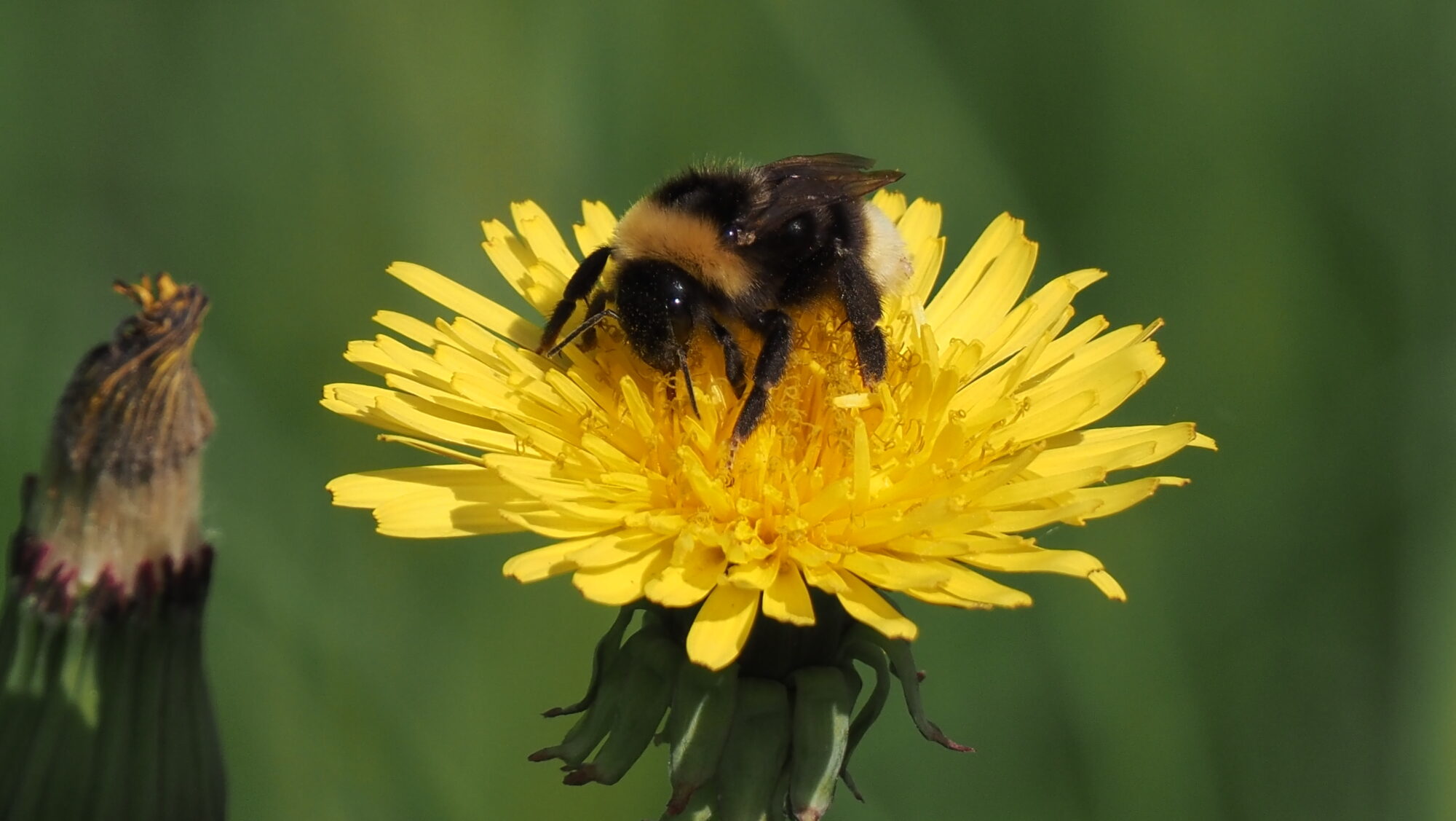 Valokuvaaja: Arja Valtonen Valokuvaaja: Arja Valtonen