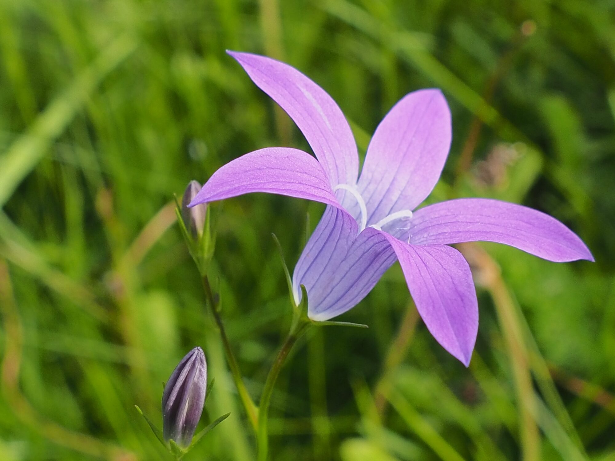 Valokuvaaja: Martti Valtonen