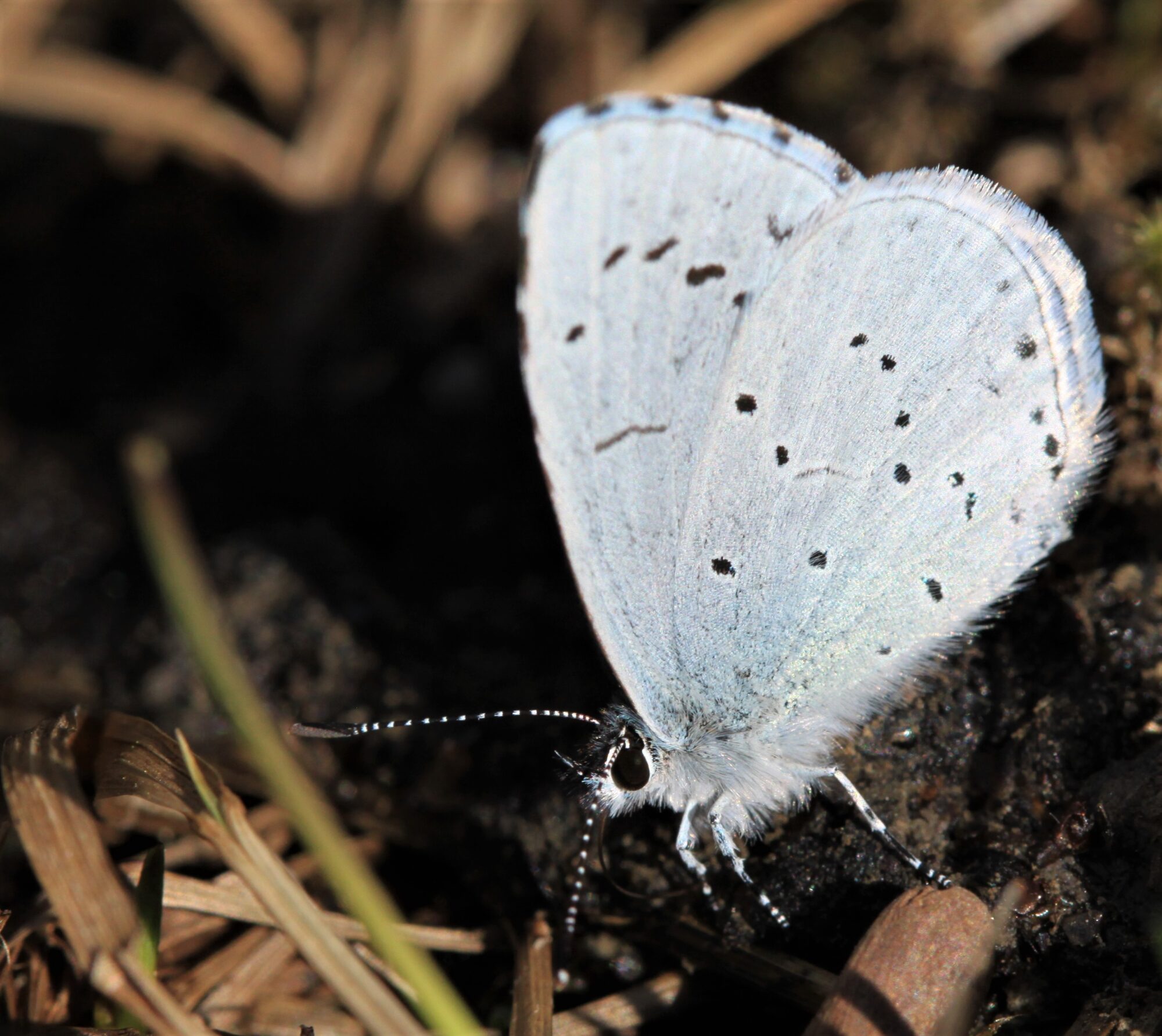 Valokuvaaja: Kaarina Heiskanen