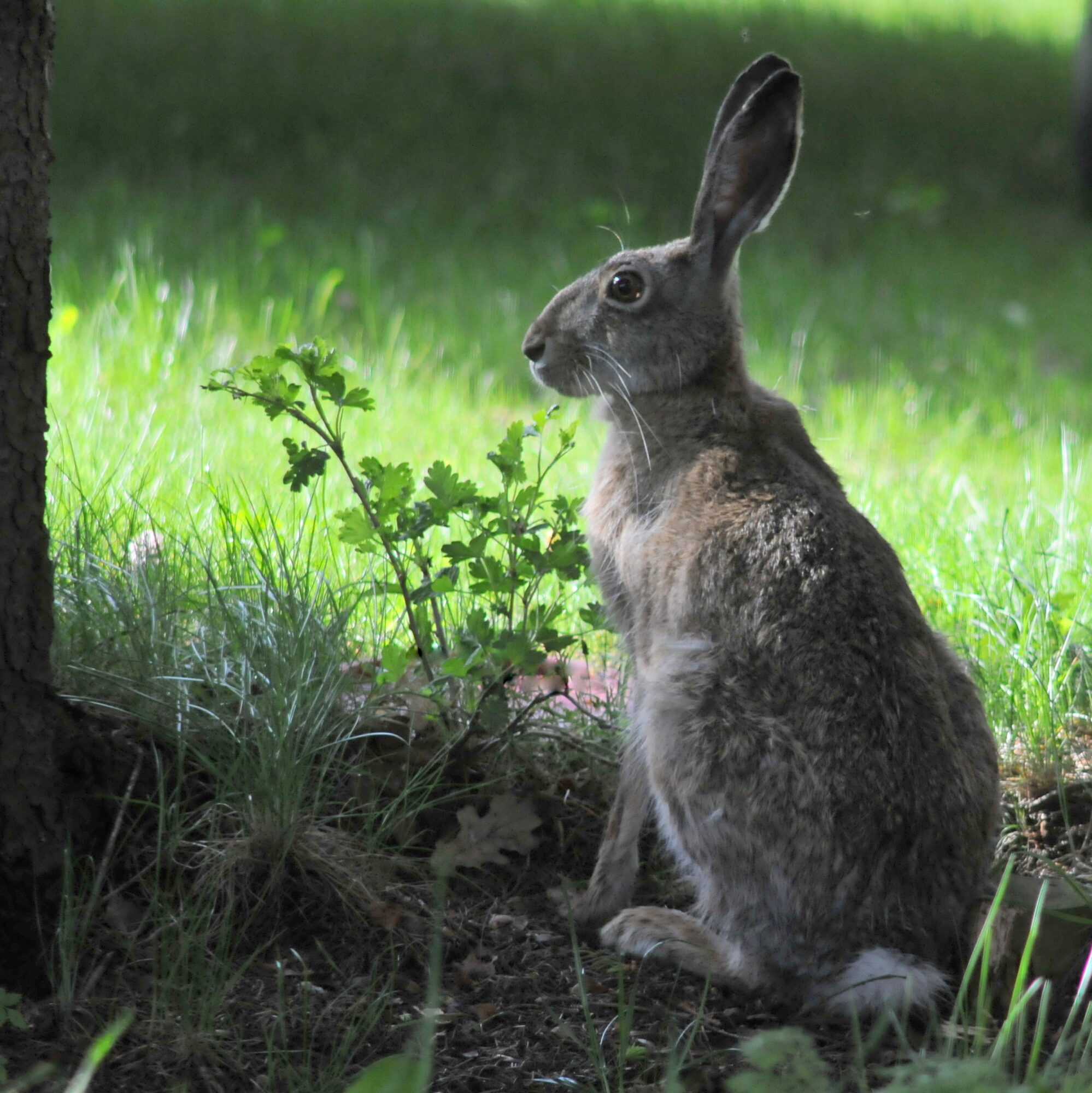 Valokuvaaja: Kaarlo Asikainen Valokuvaaja: Kaarlo Asikainen