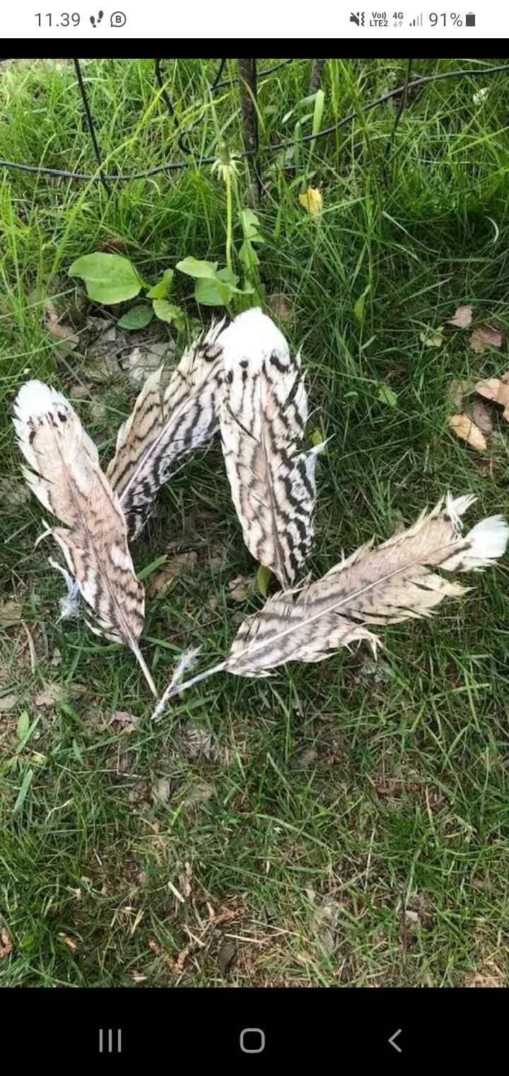 Valokuvaaja: Juha Leppänen