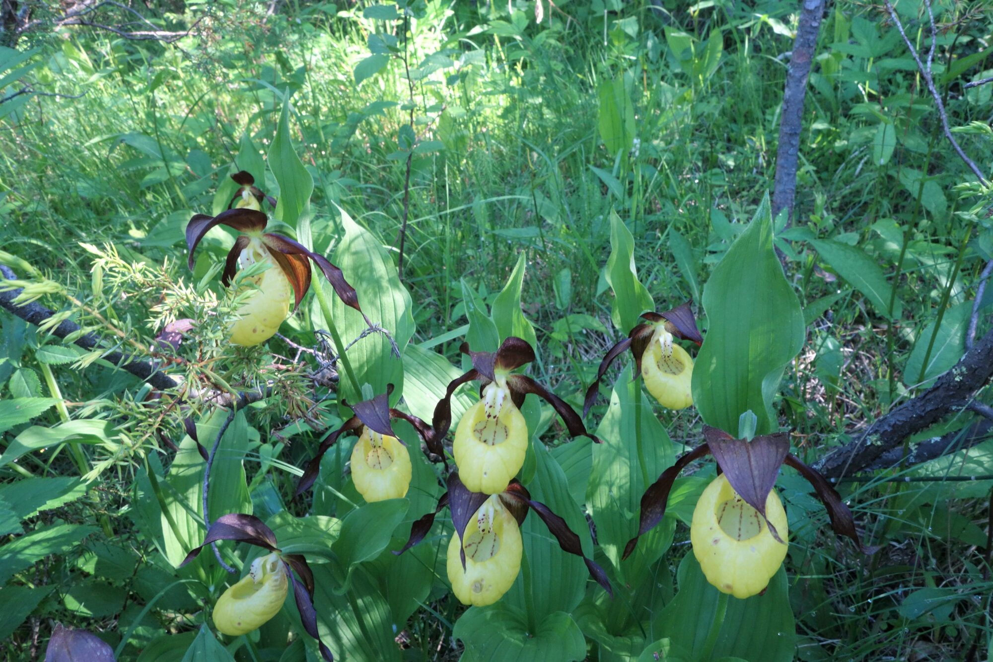 Valokuvaaja: Kaarina Heiskanen