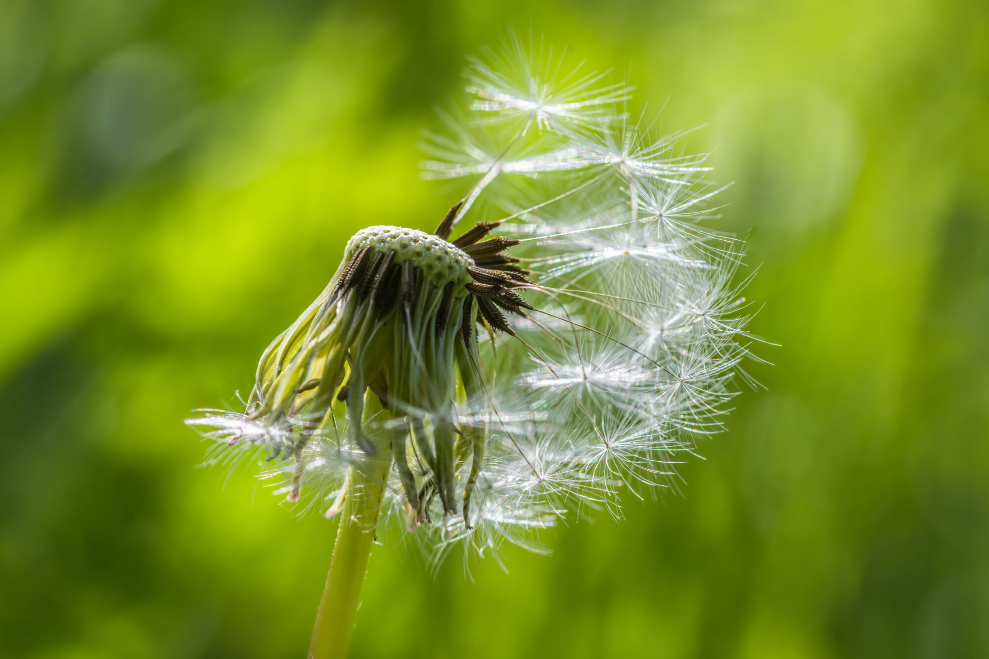 Valokuvaaja: Risto Lavi