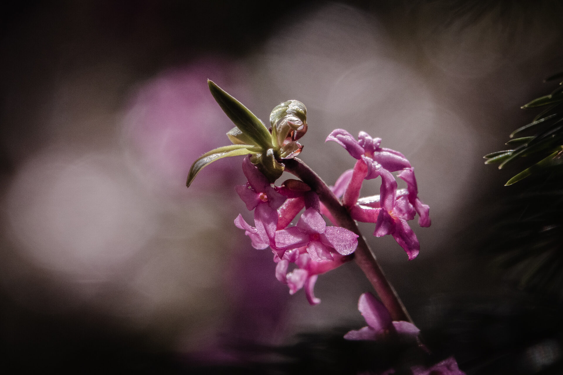 Valokuvaaja: Ari Kaarakainen