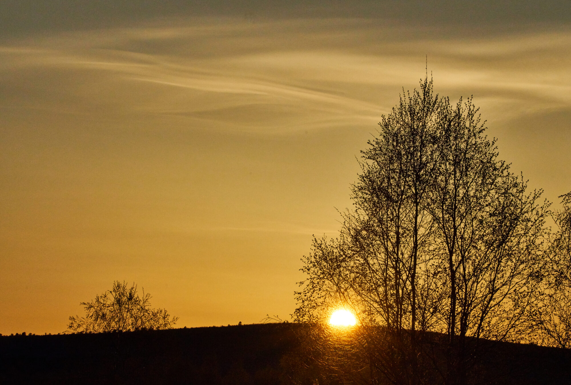 Valokuvaaja: Tarja Kouvo