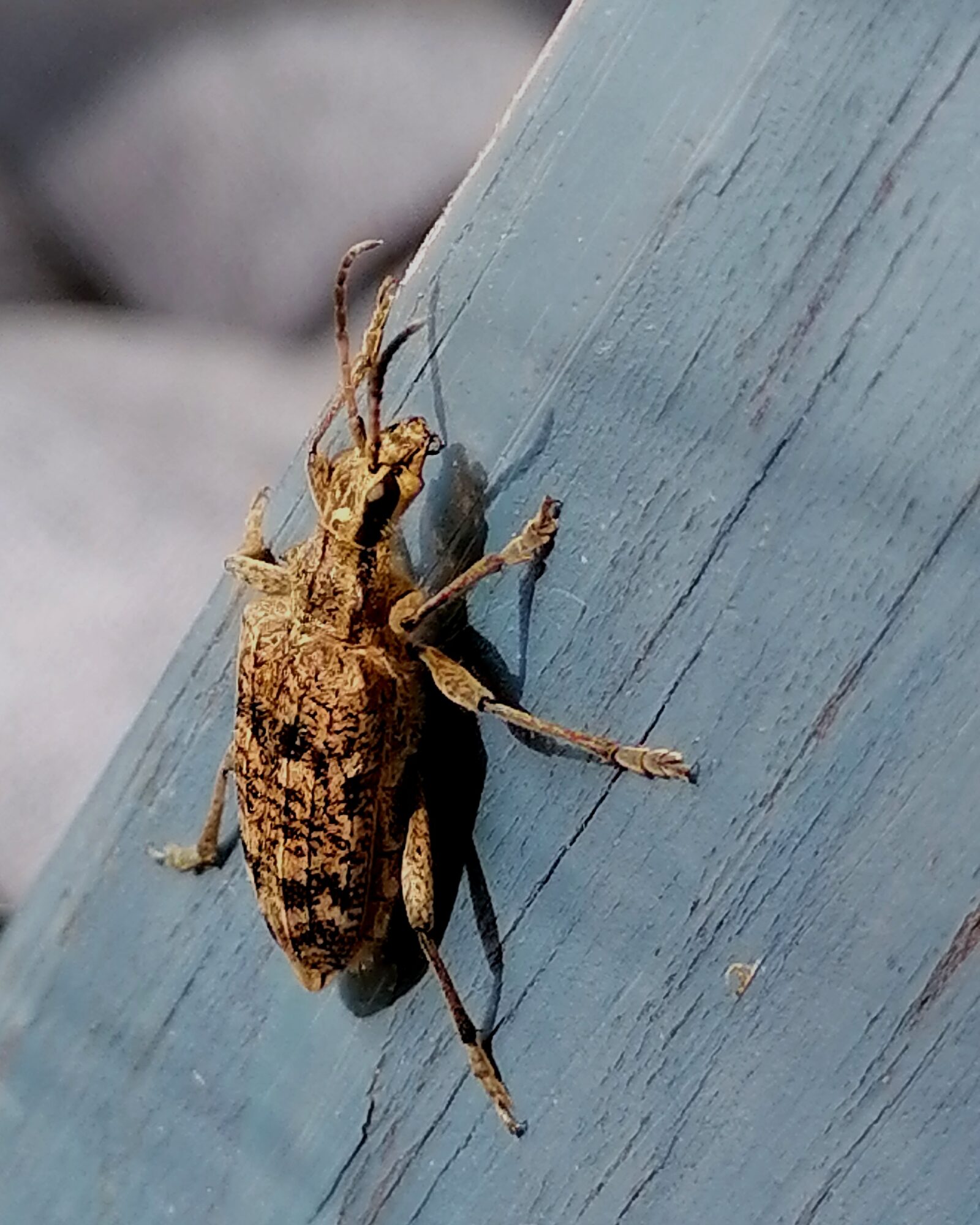 Valokuvaaja: Pirkko Laitinen