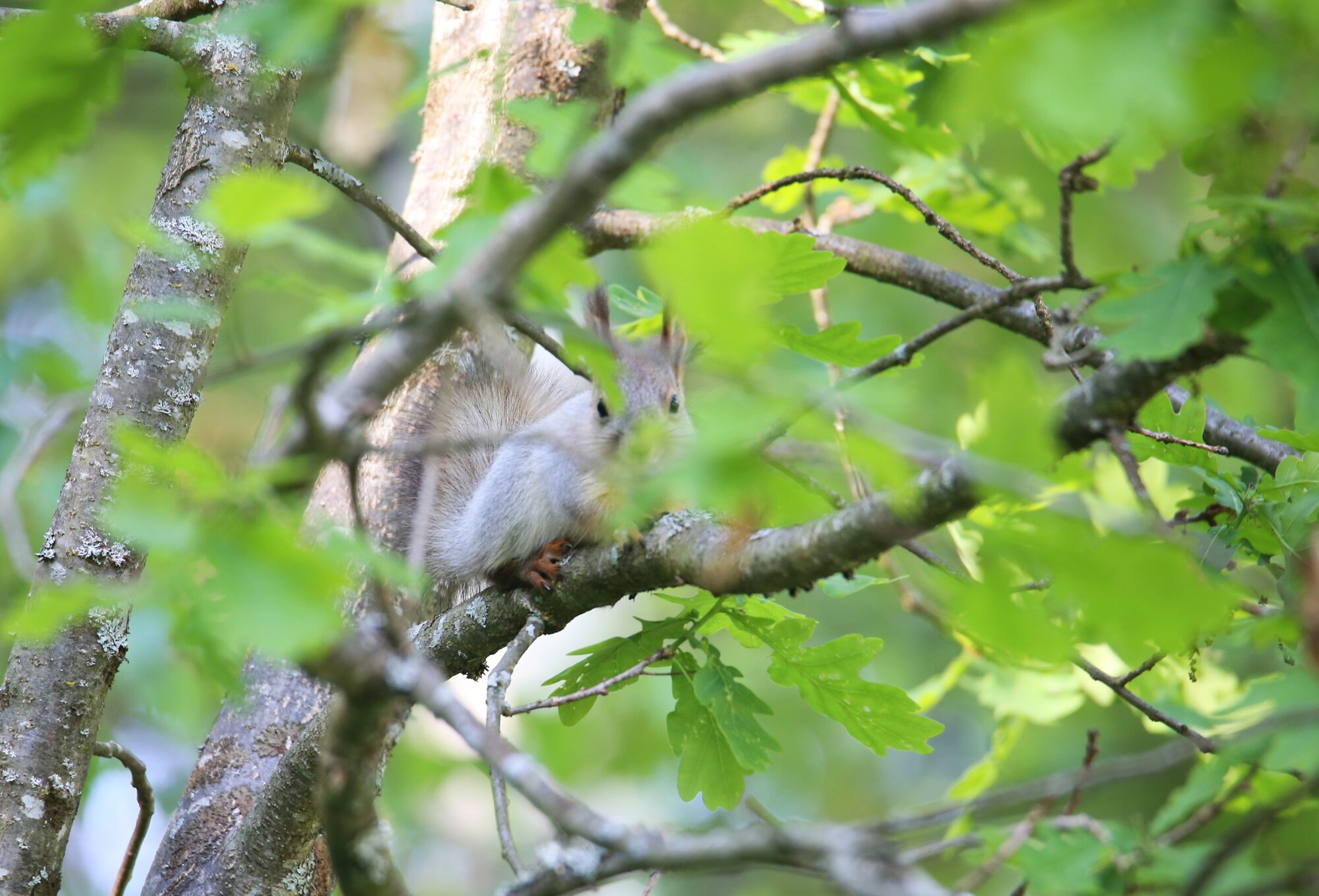Valokuvaaja: Jaana Saarelainen