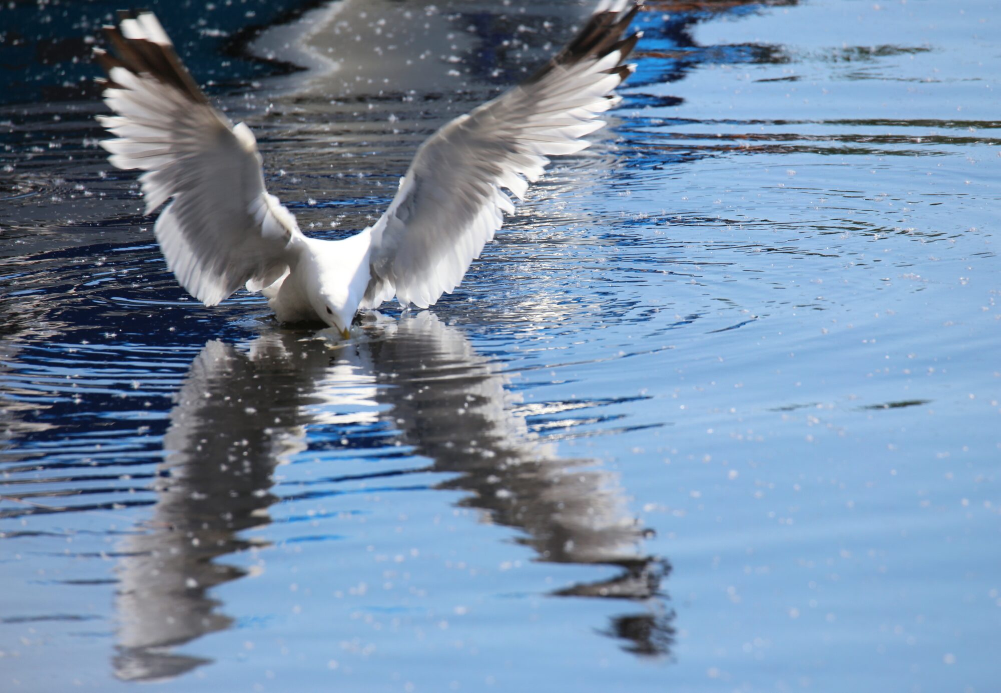 Valokuvaaja: Jaana Saarelainen