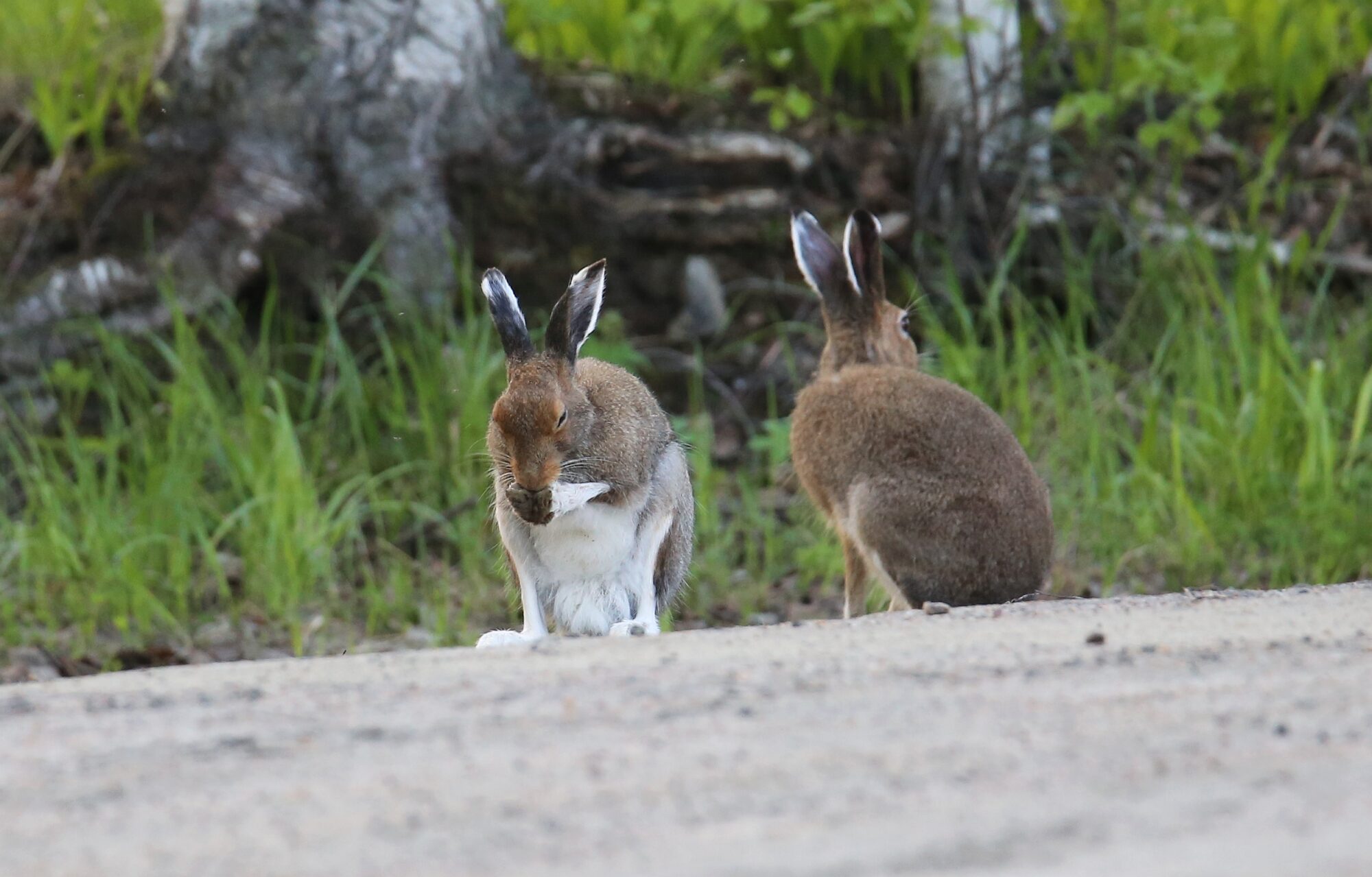 Valokuvaaja: Jaana Saarelainen