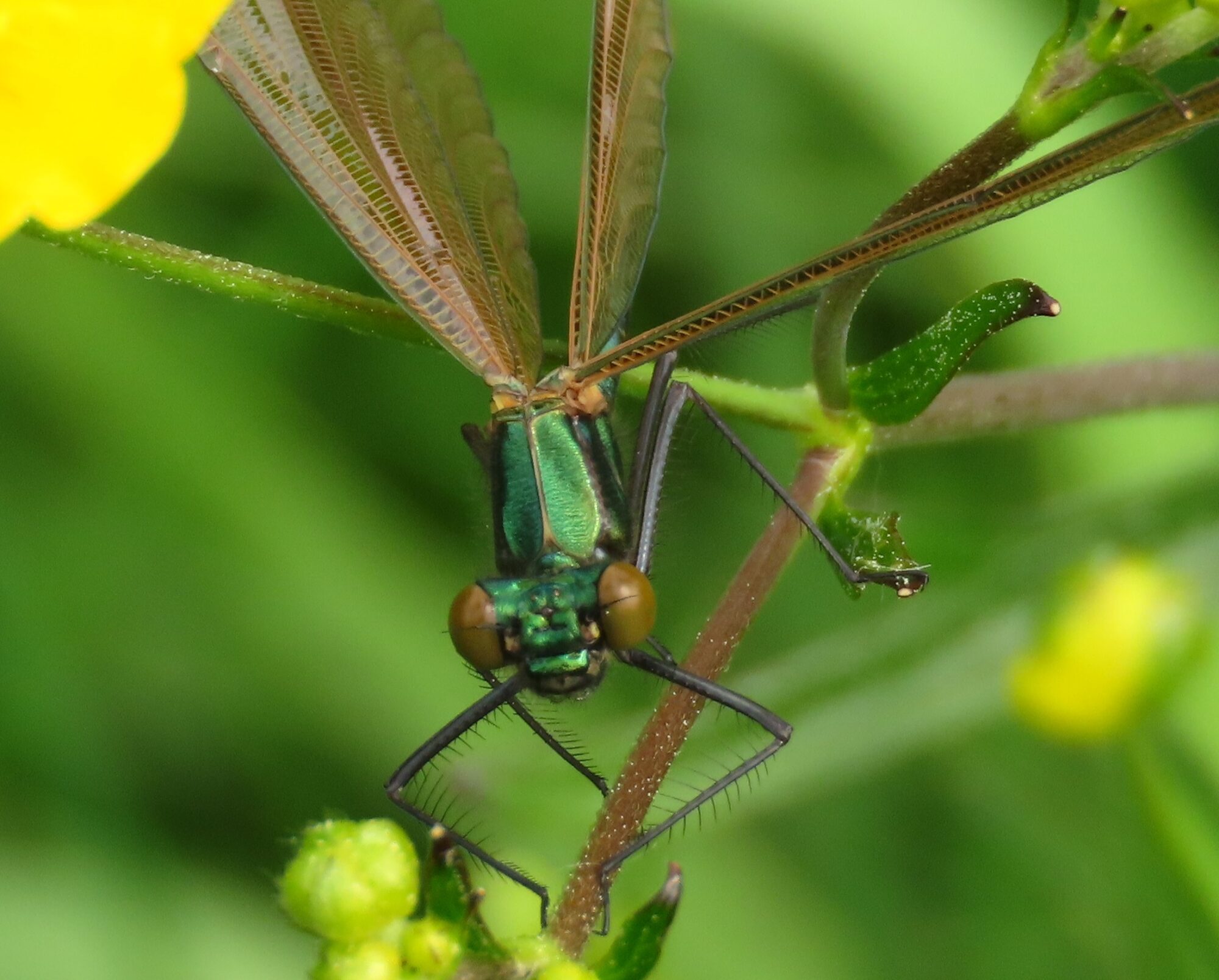 Valokuvaaja: Mirja Suoknuuti