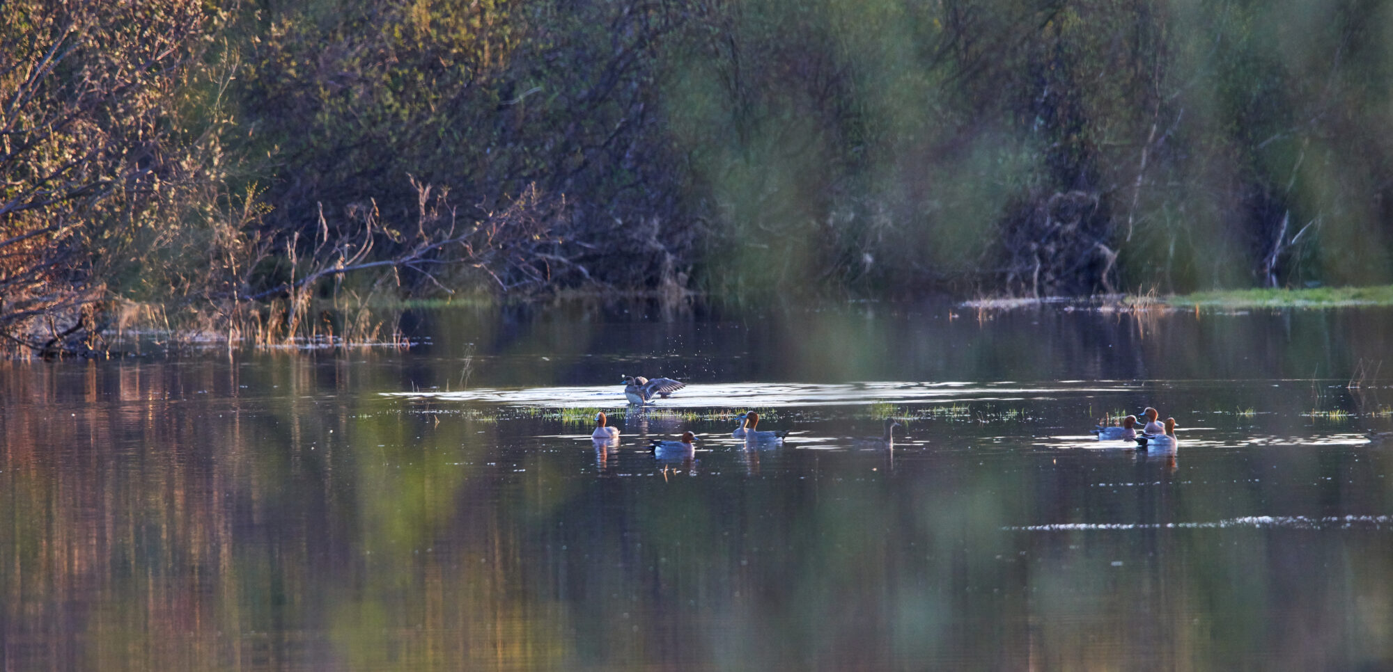 Valokuvaaja: Tarja Kouvo
