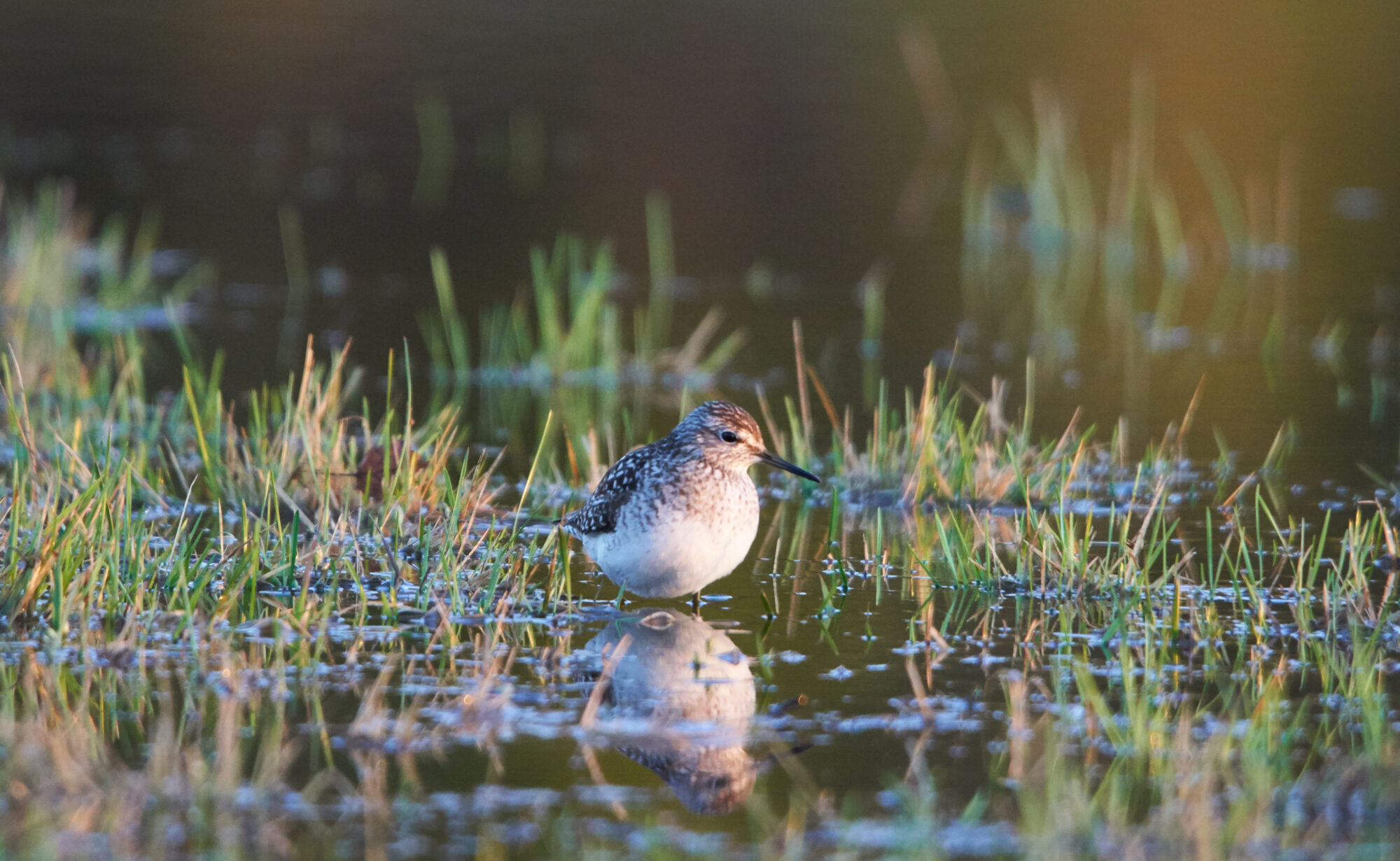 Valokuvaaja: Tarja Kouvo