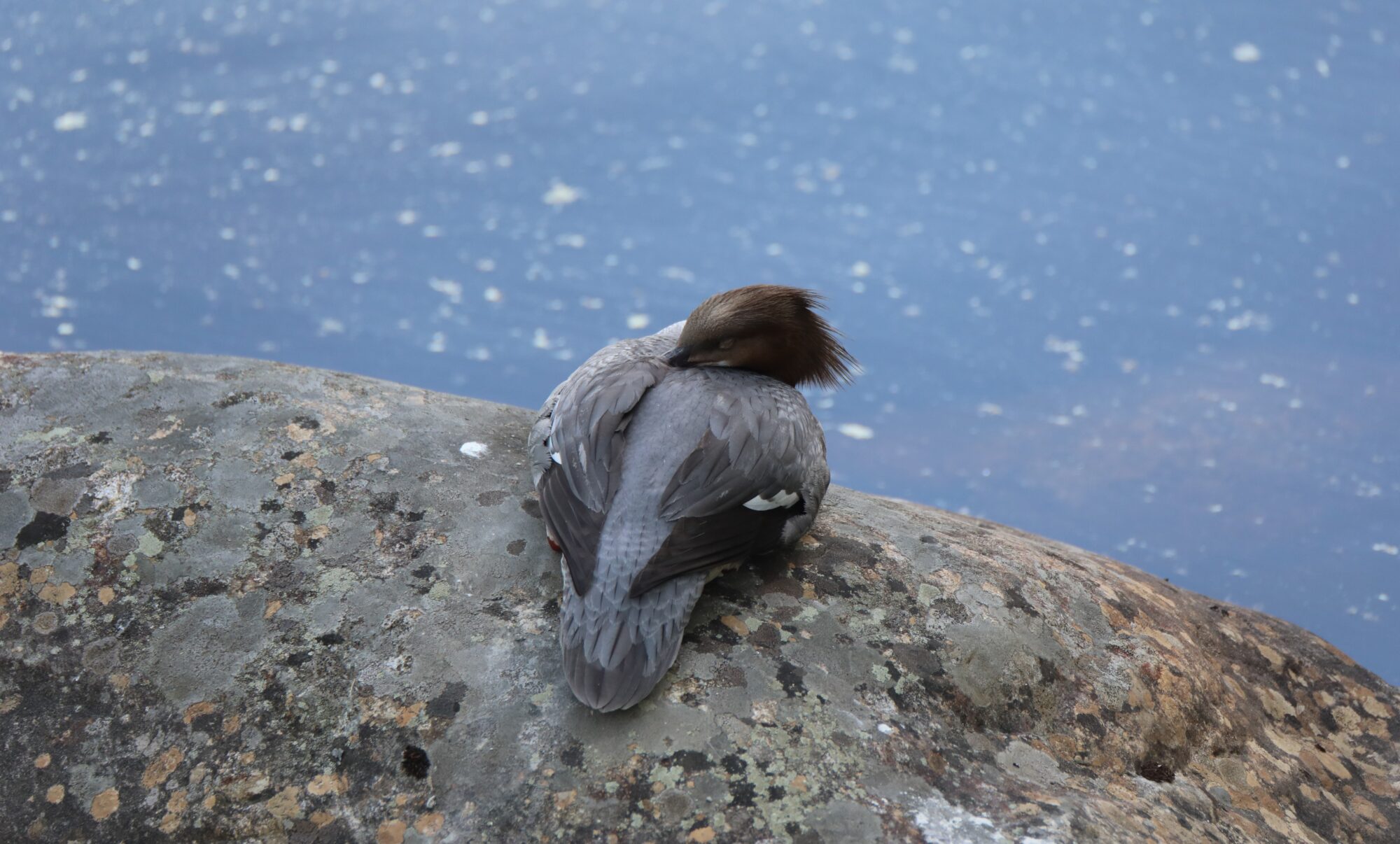 Valokuvaaja: Ahti Keränen