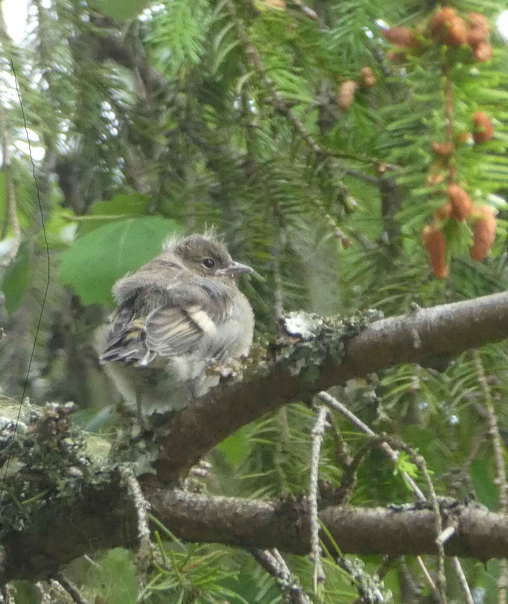 Valokuvaaja: Anja Mustamaa