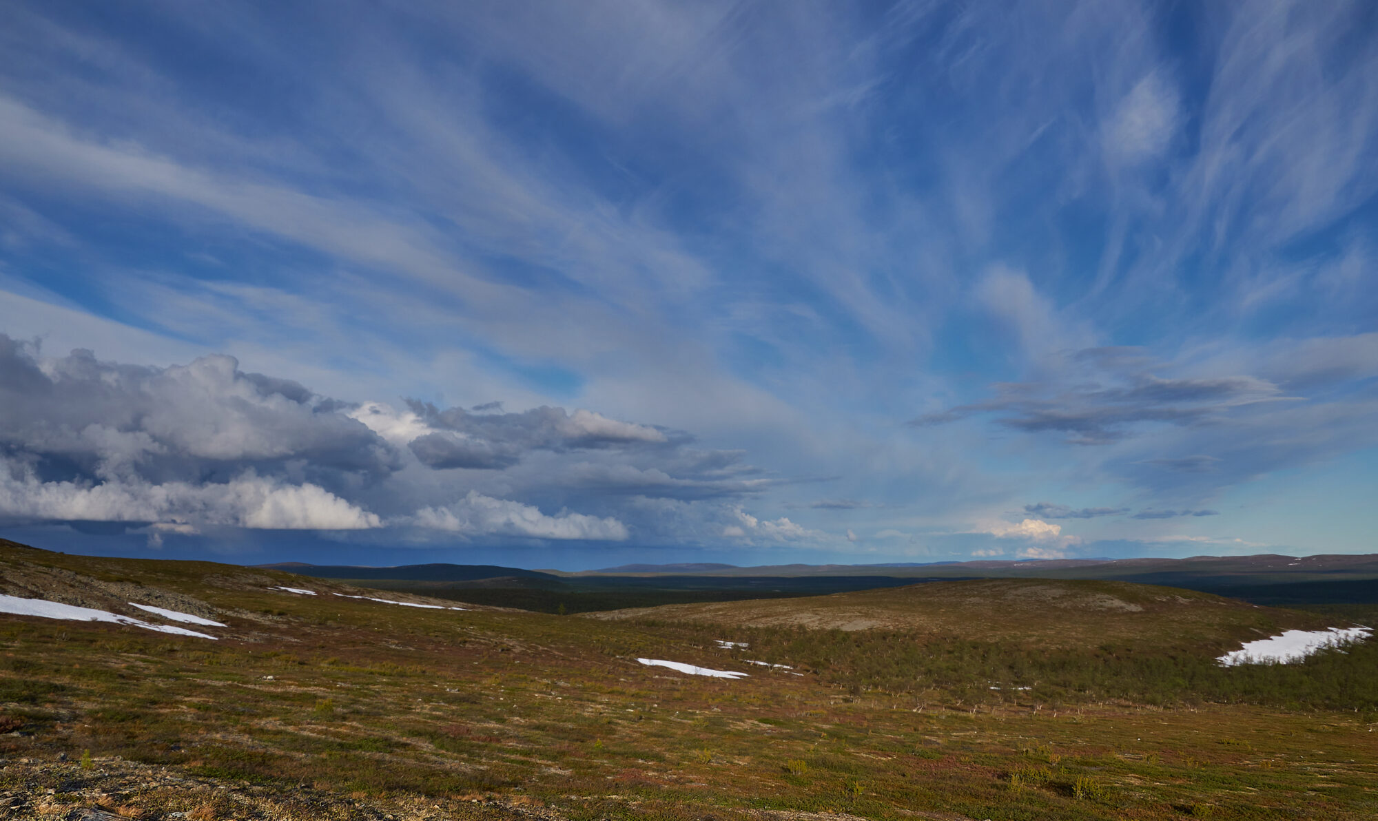 Valokuvaaja: Tarja Kouvo