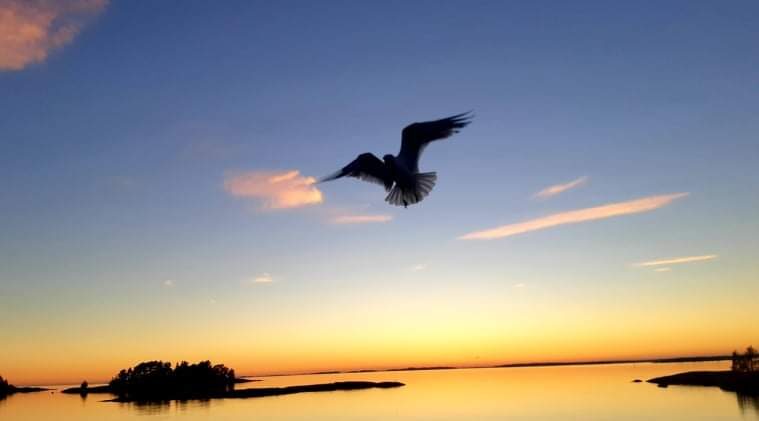 Valokuvaaja: Sonja Nokkala