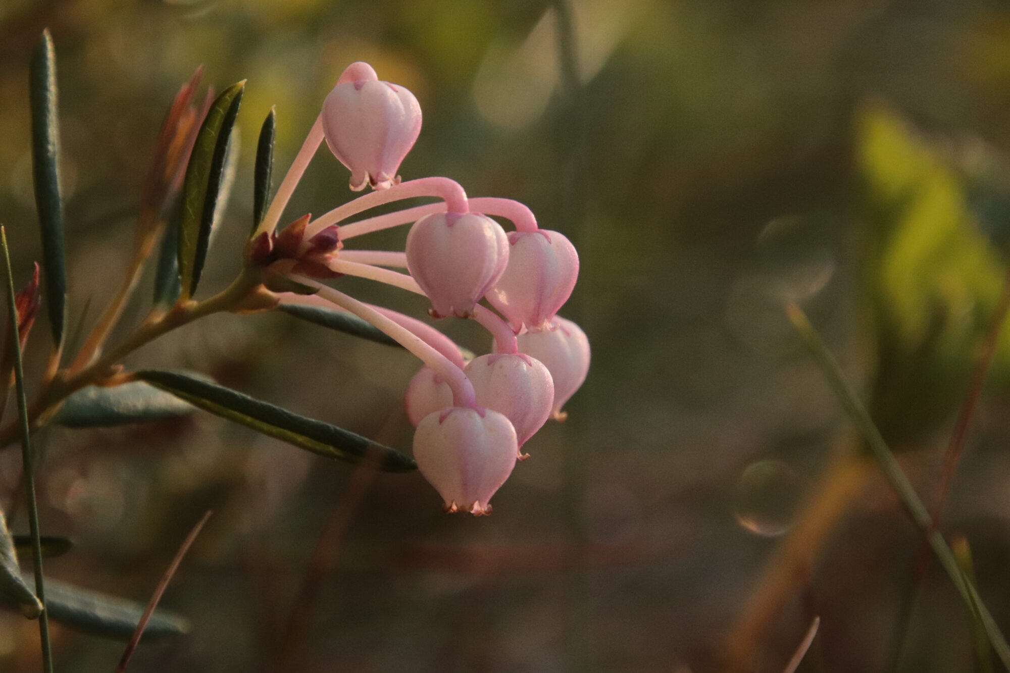 Valokuvaaja: Tuulia Aho