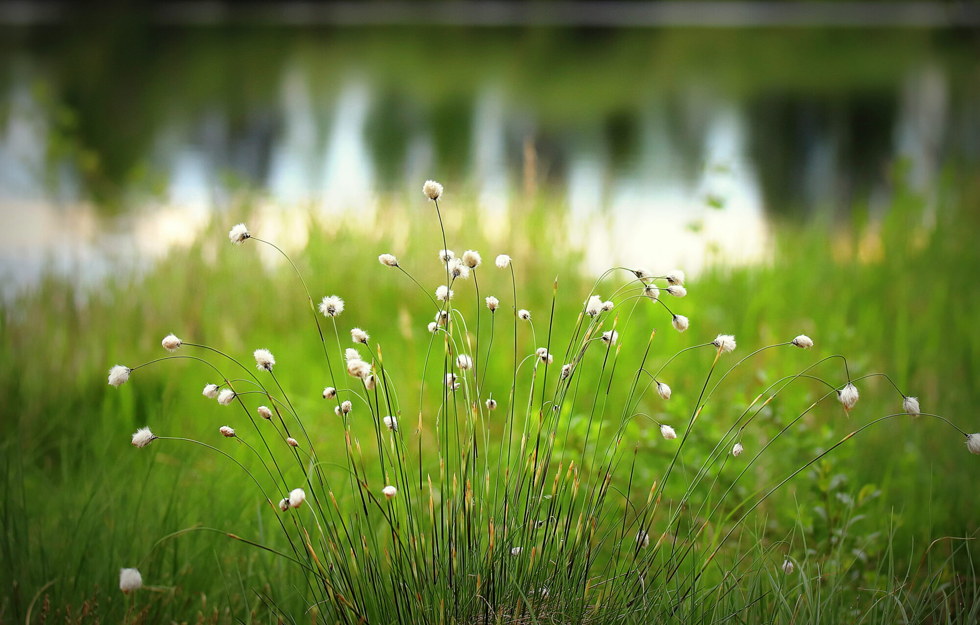 Valokuvaaja: sirpa jyske
