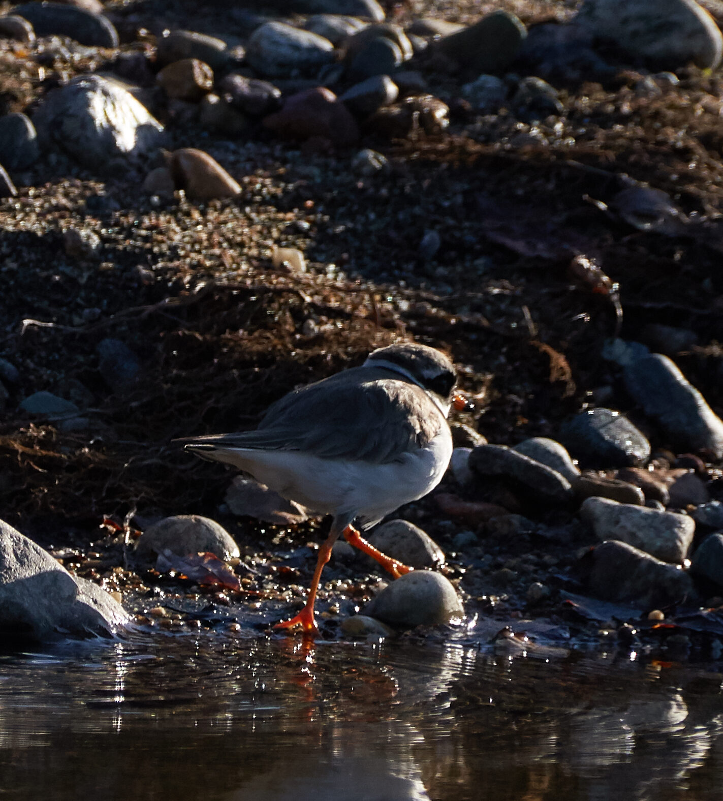 Valokuvaaja: Tarja Kouvo
