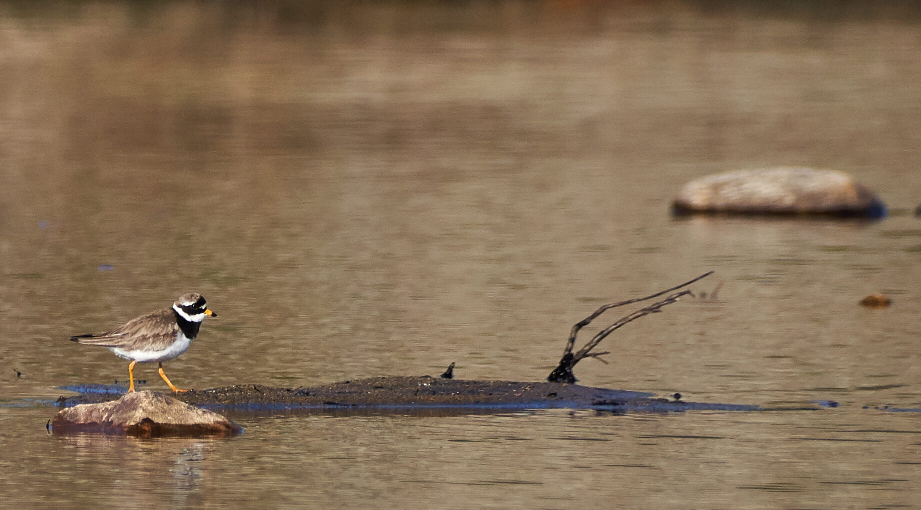 Valokuvaaja: Tarja Kouvo