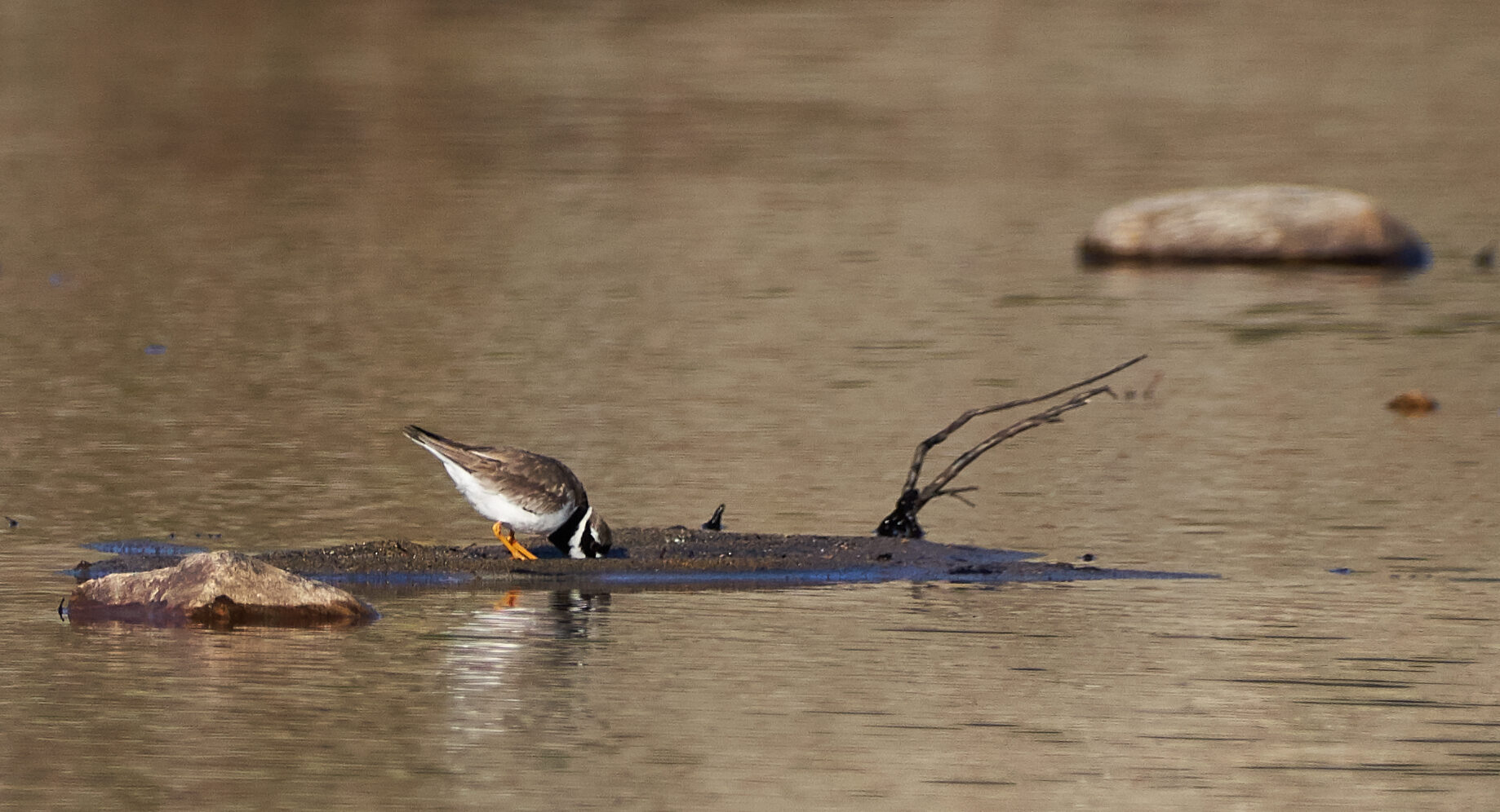 Valokuvaaja: Tarja Kouvo