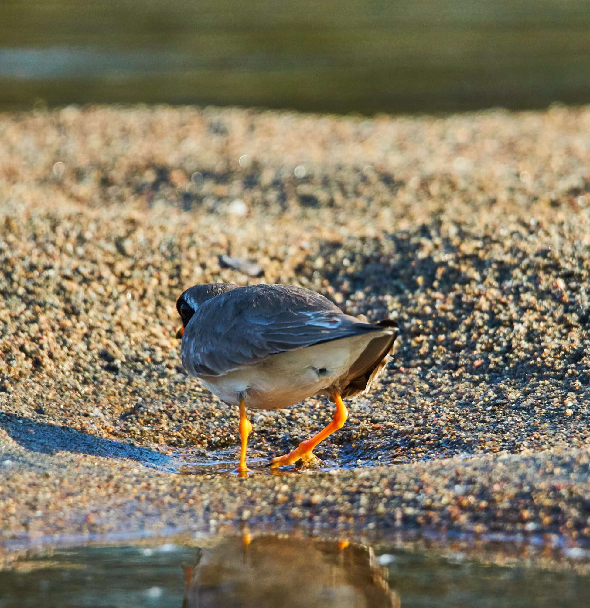 Valokuvaaja: Tarja Kouvo