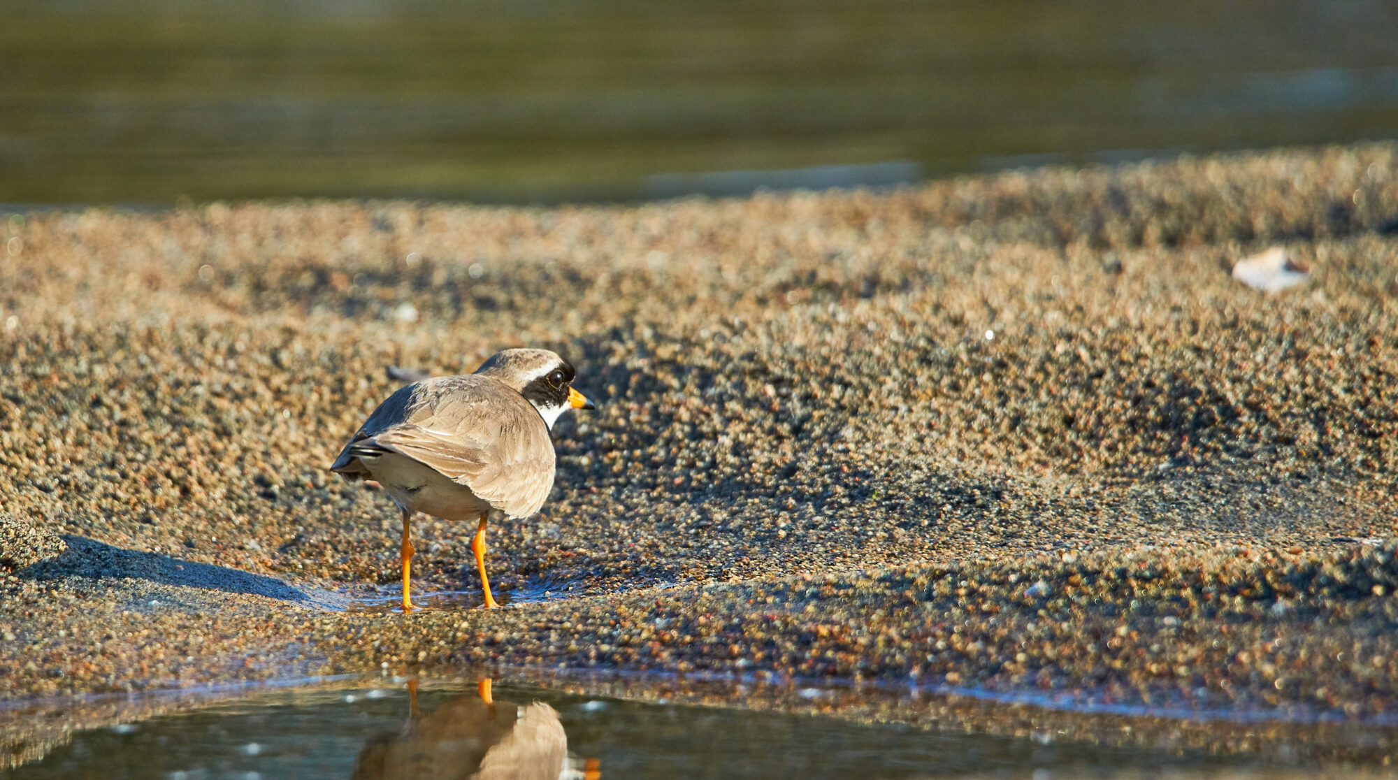 Valokuvaaja: Tarja Kouvo