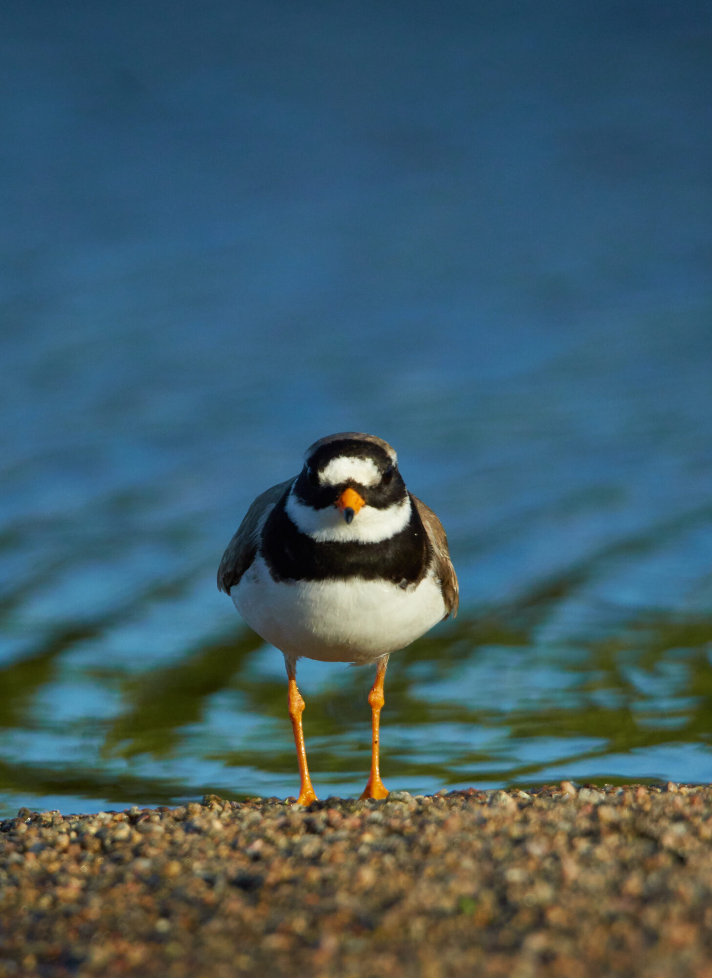 Valokuvaaja: Tarja Kouvo