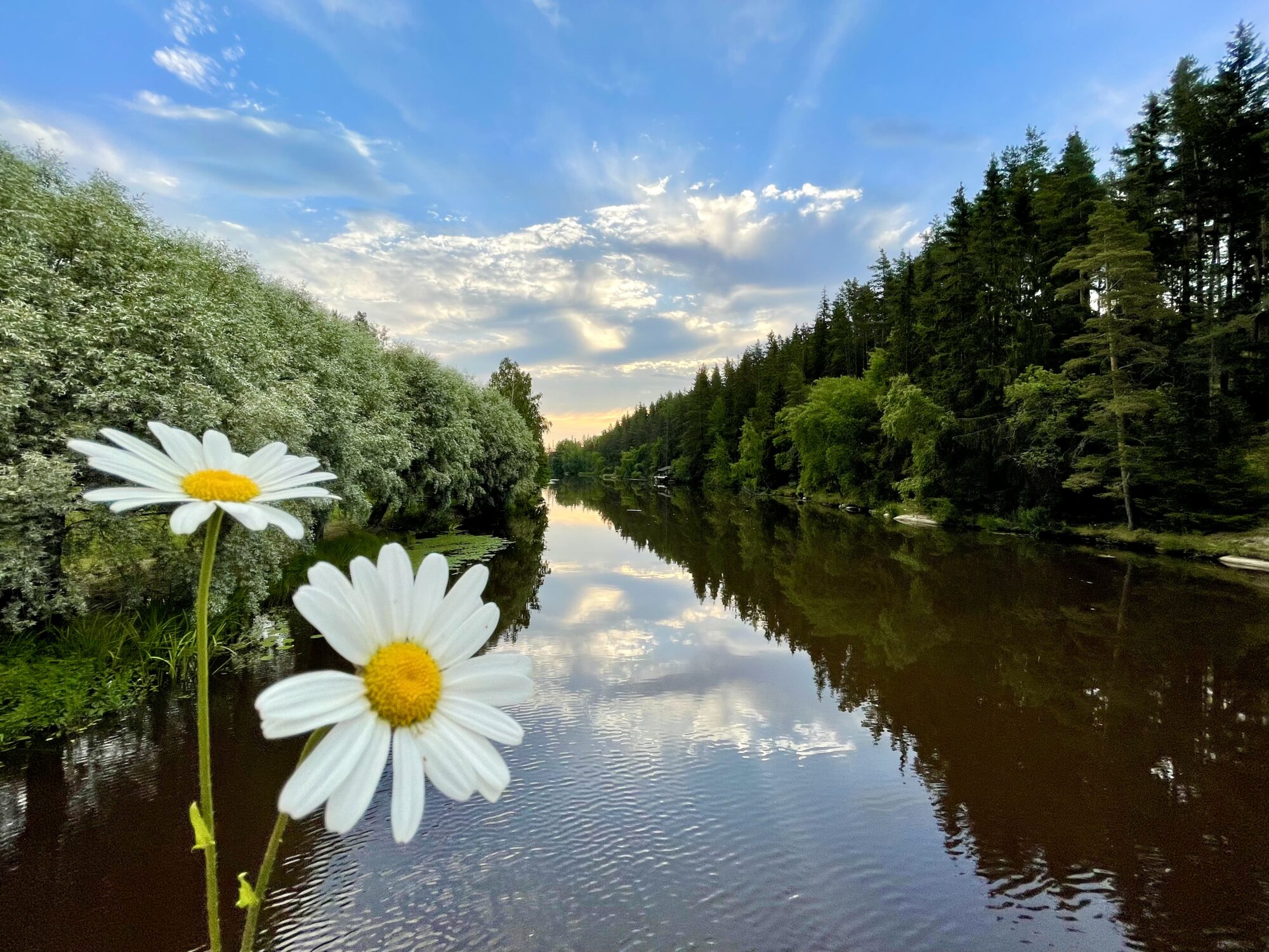 Valokuvaaja: Juhani Peltonen