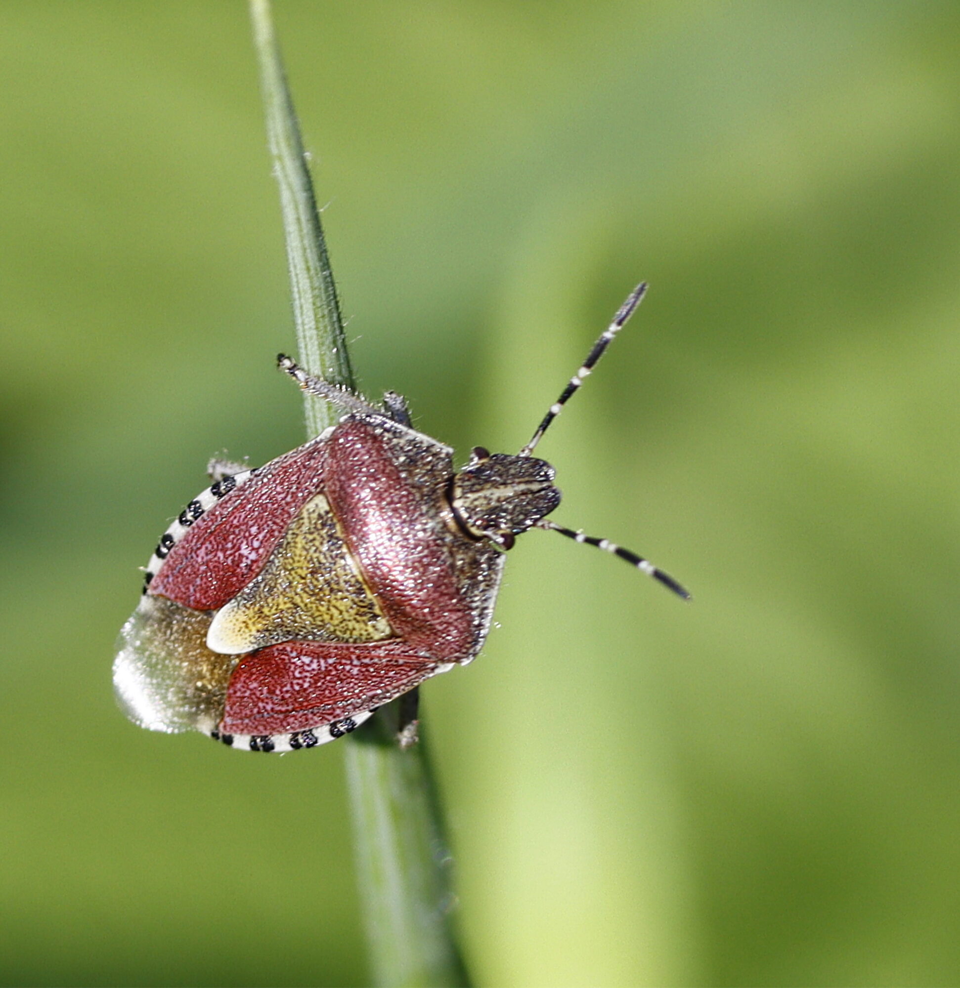 Valokuvaaja: Ritva Nieminen