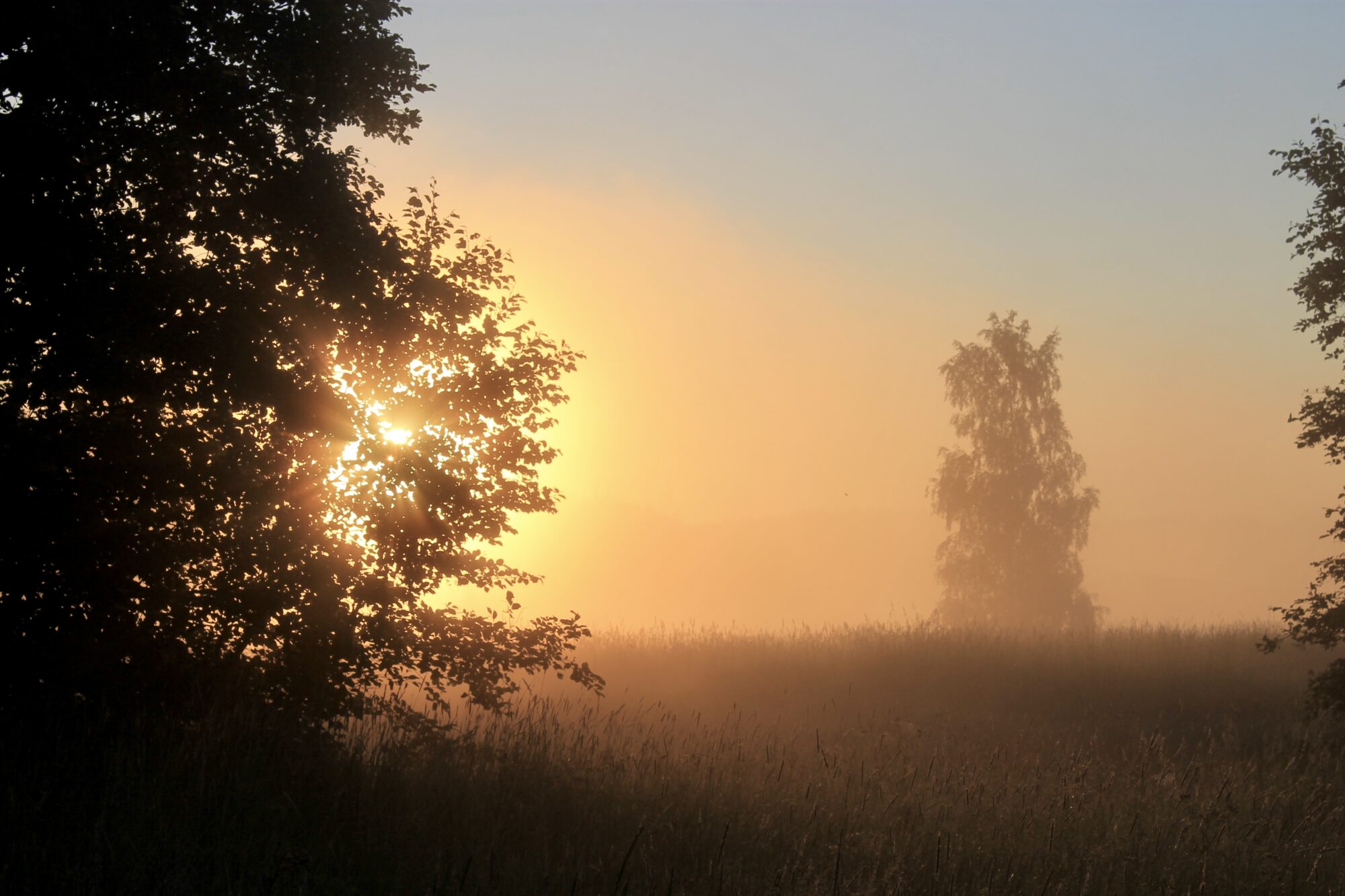 Valokuvaaja: Juhani Peltonen