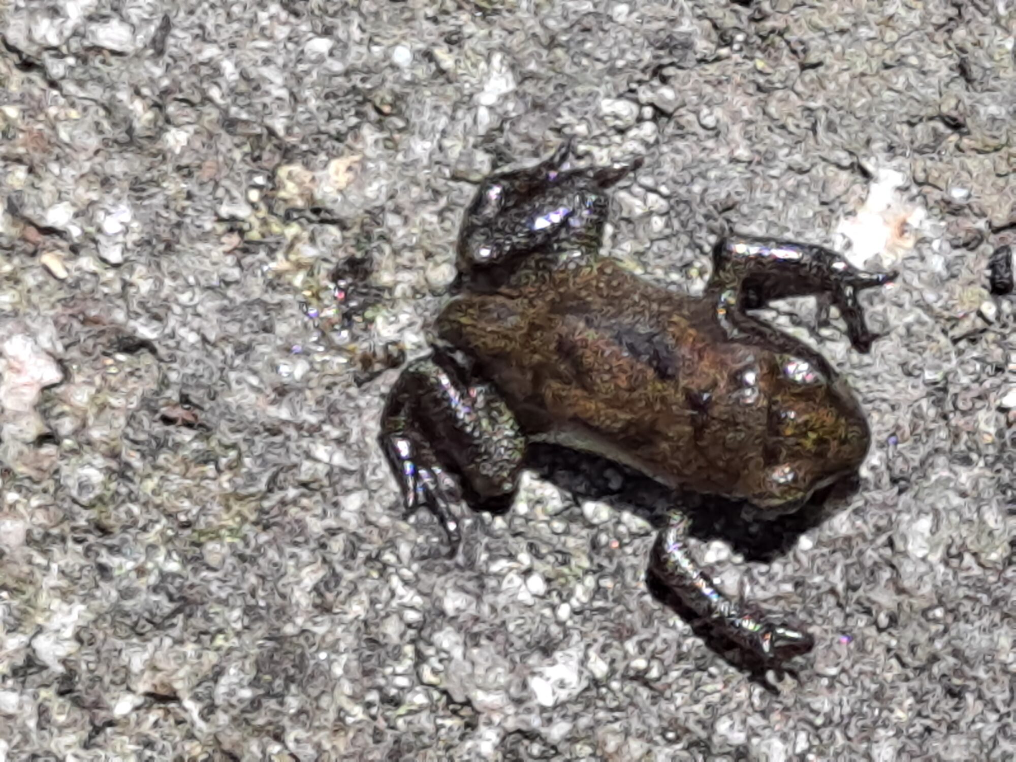 Valokuvaaja: Satu Suuntala