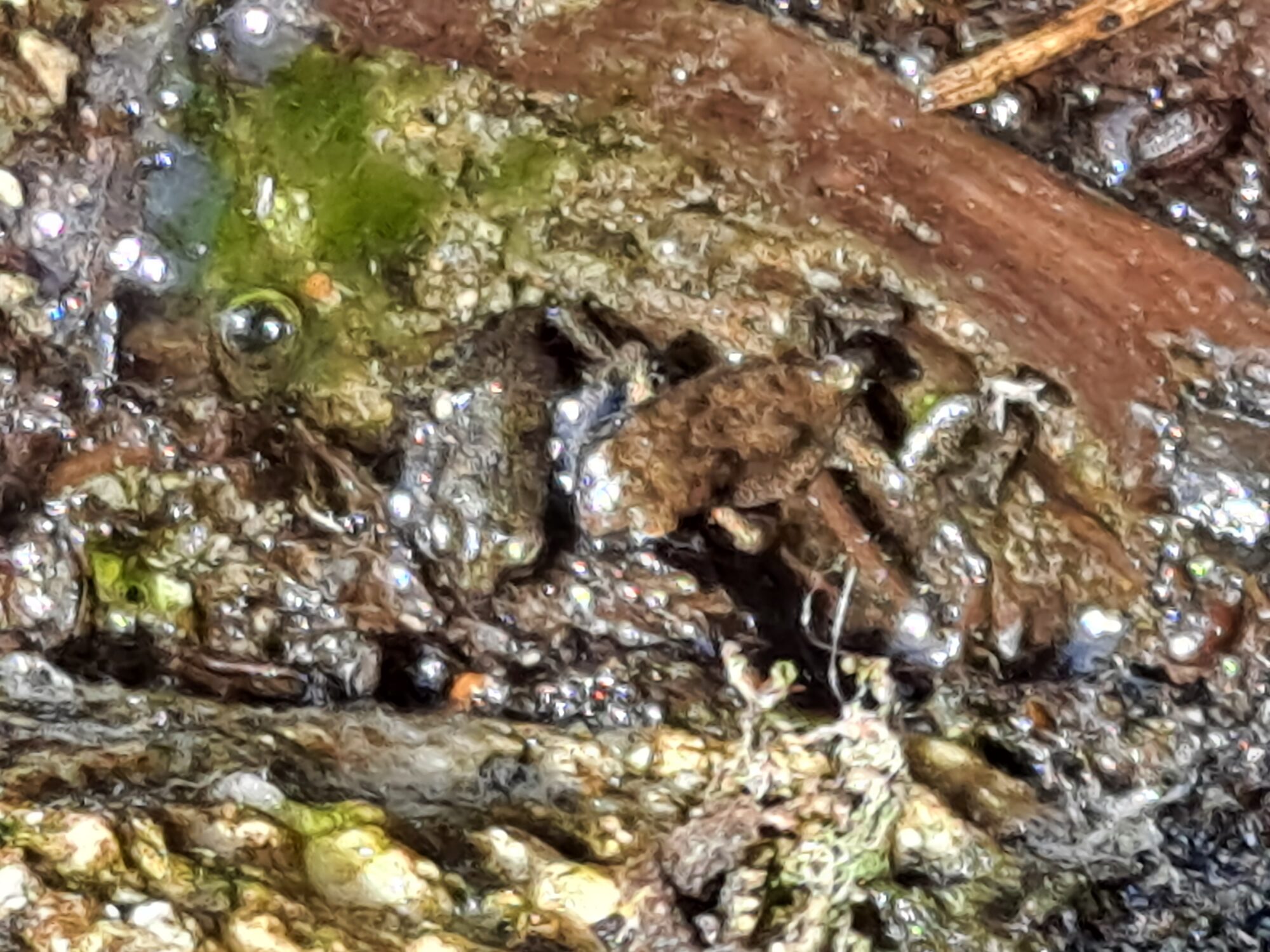 Valokuvaaja: Satu Suuntala