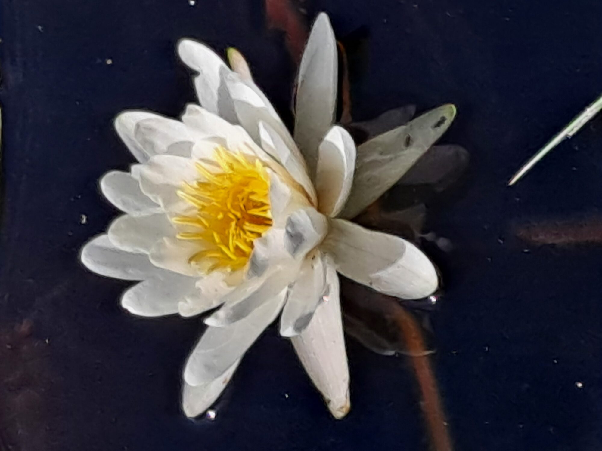 Valokuvaaja: Satu Suuntala