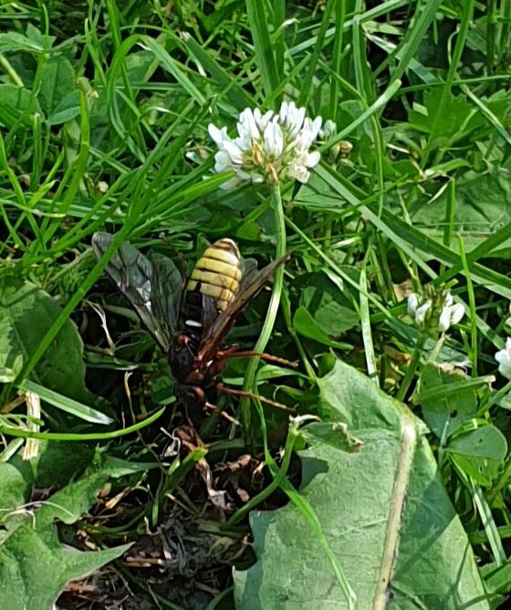 Valokuvaaja: Marjukka Moilanen