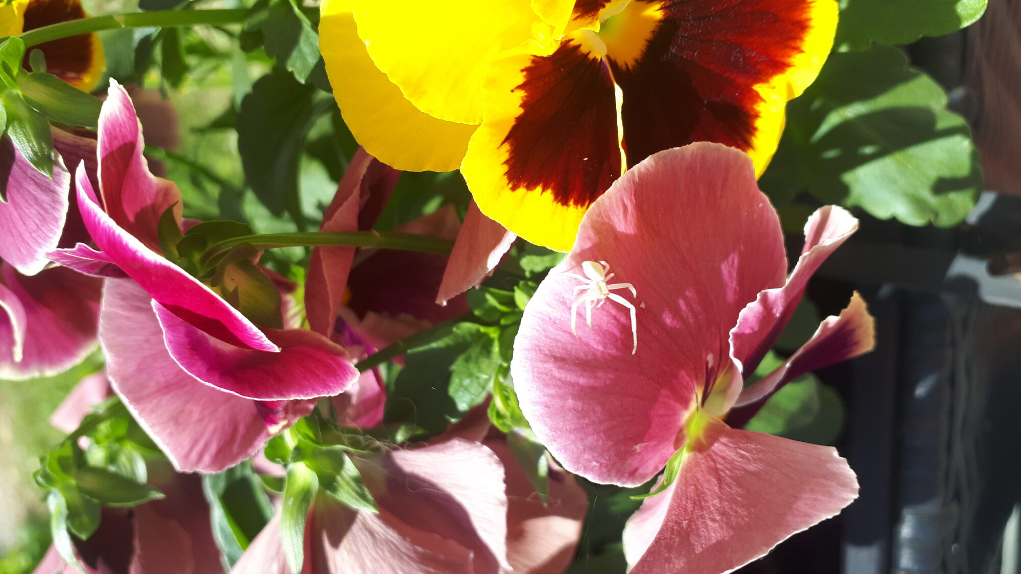 Valokuvaaja: Marianne Sunell