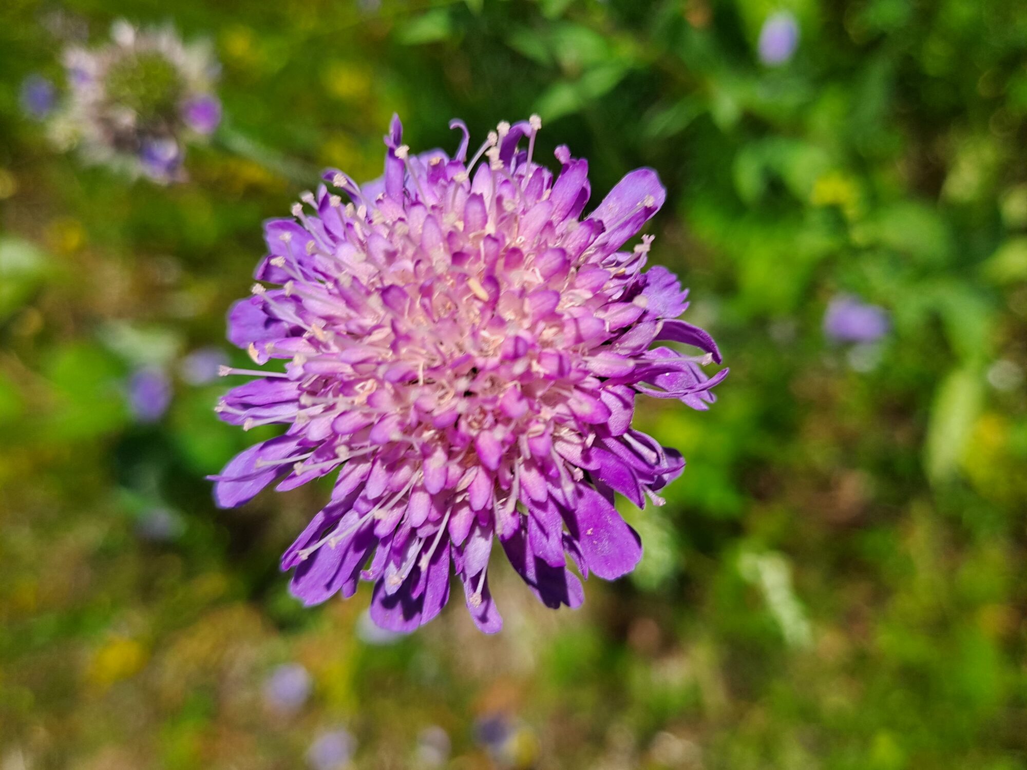 Valokuvaaja: Satu Suuntala