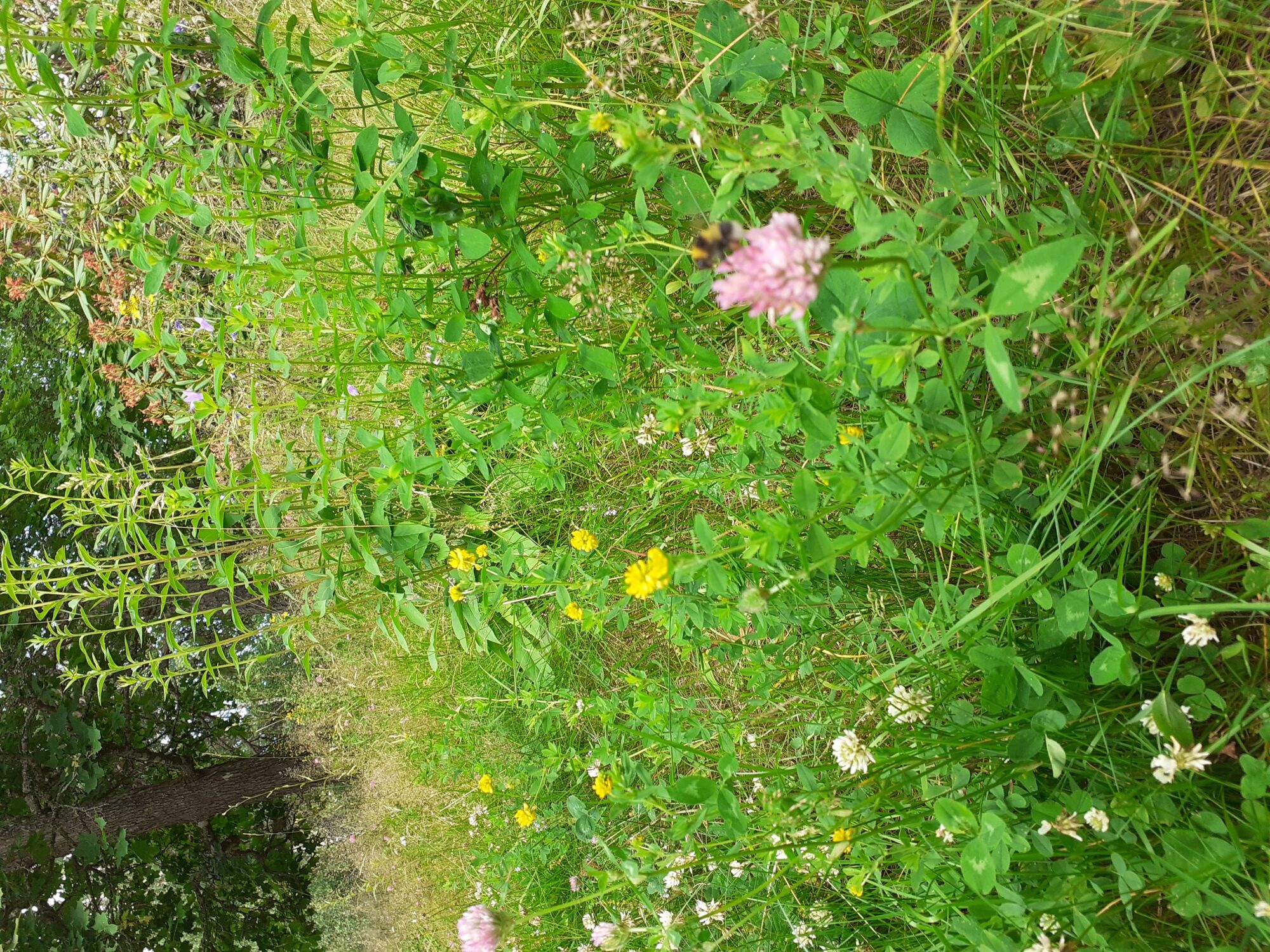 Valokuvaaja: Eeva-Liisa Ilvonen