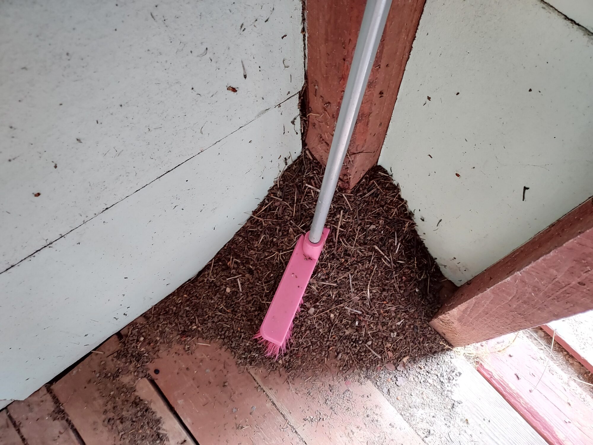 Valokuvaaja: Eija Johanna Saastamoinen