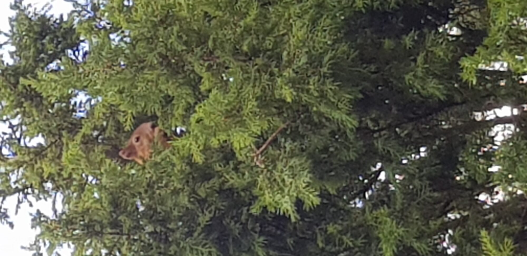 Valokuvaaja: Mere Kinnunen