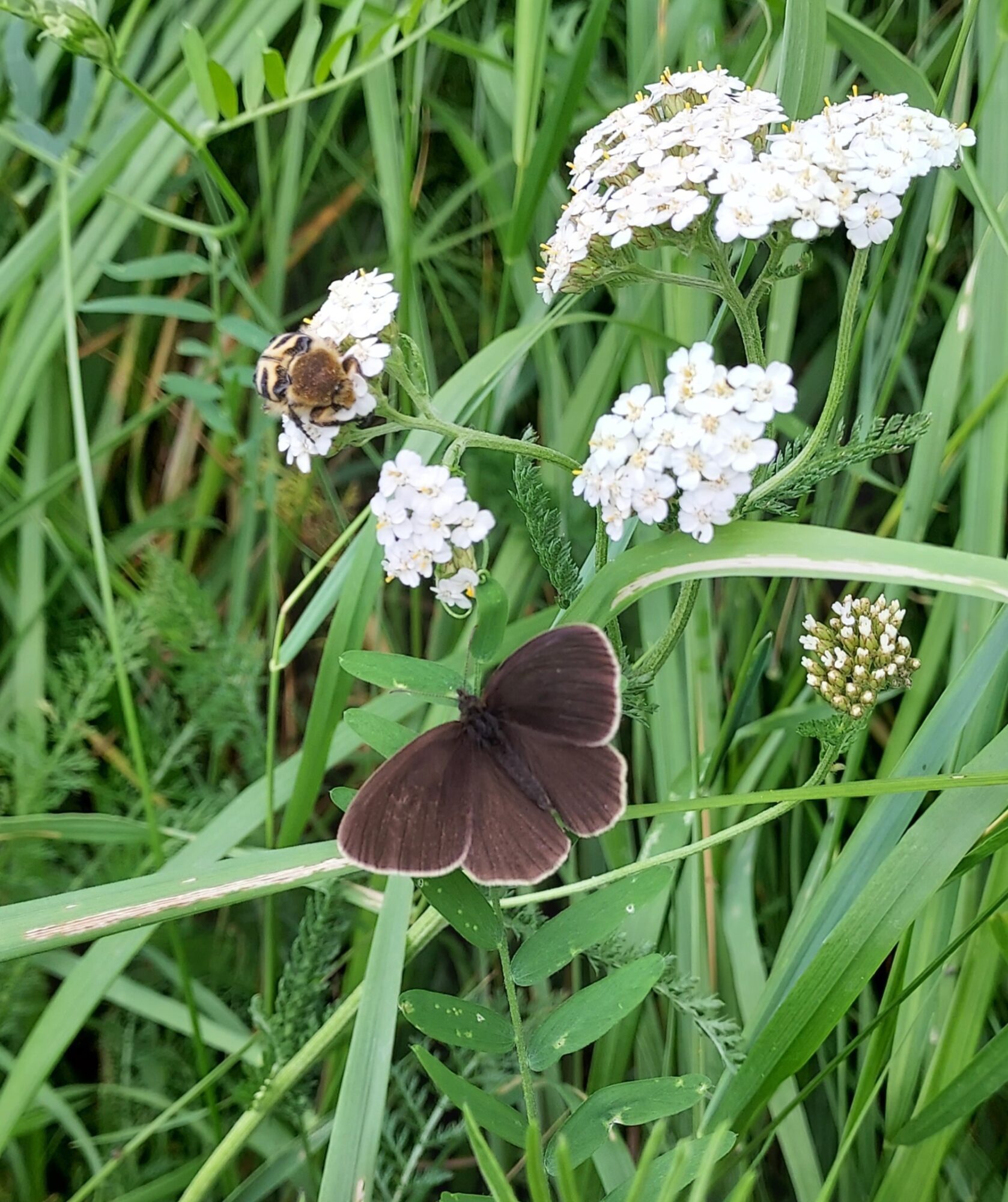 Valokuvaaja: Eija Johanna Saastamoinen