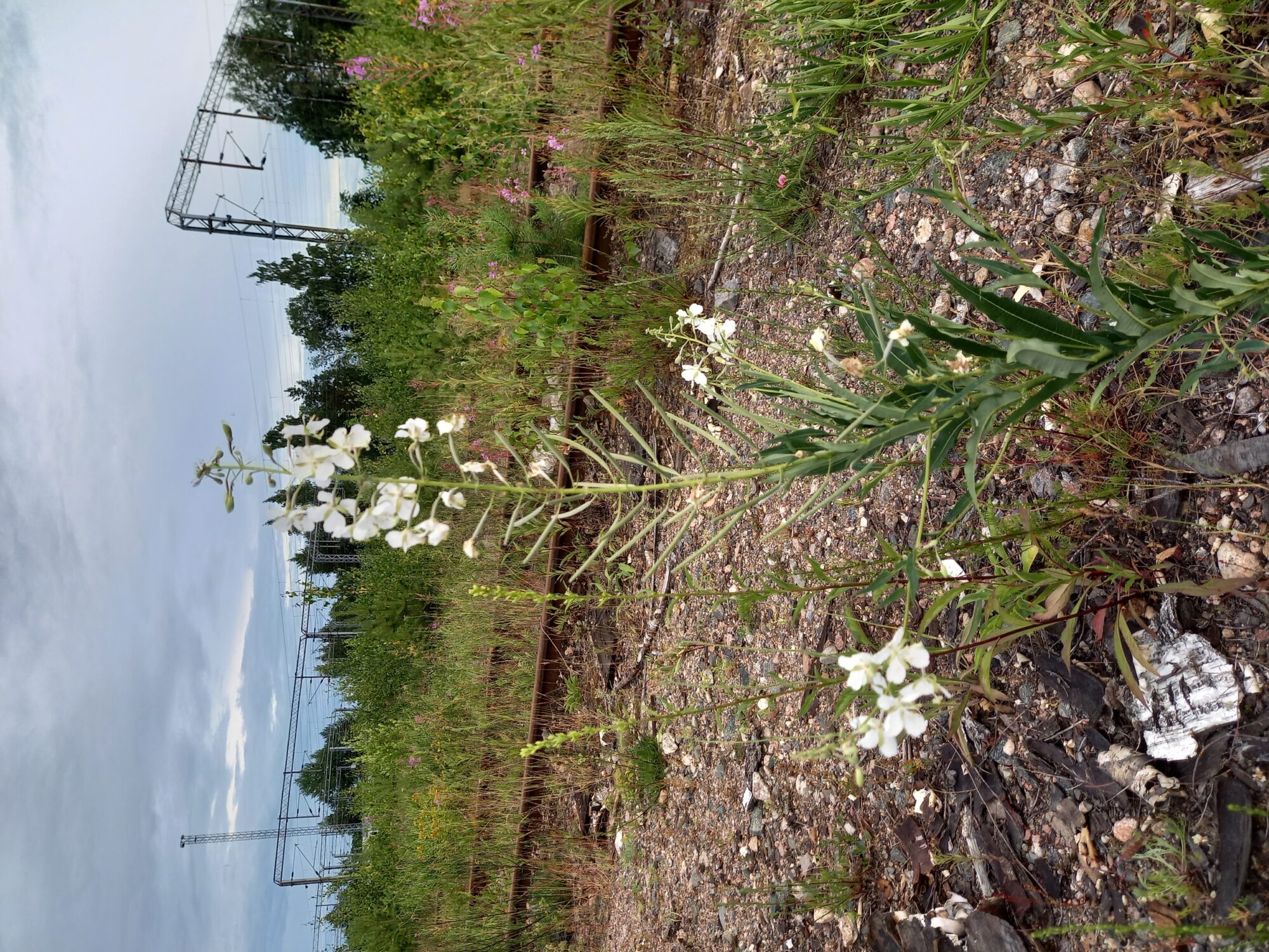 Valokuvaaja: Taija Lehto