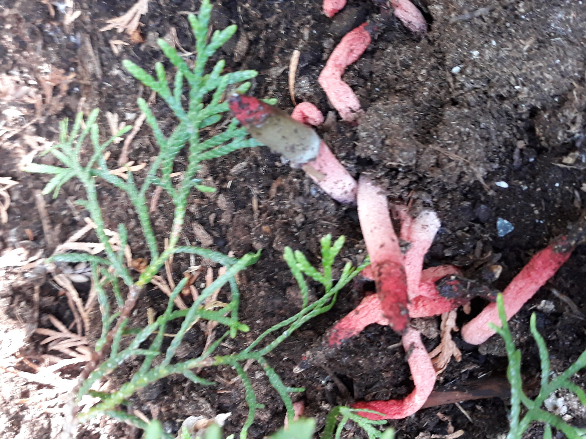 Valokuvaaja: Eija Issakainen